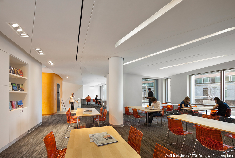 The New York Public Library, Battery Park City Architizer