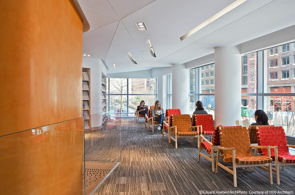 The New York Public Library, Battery Park City Architizer