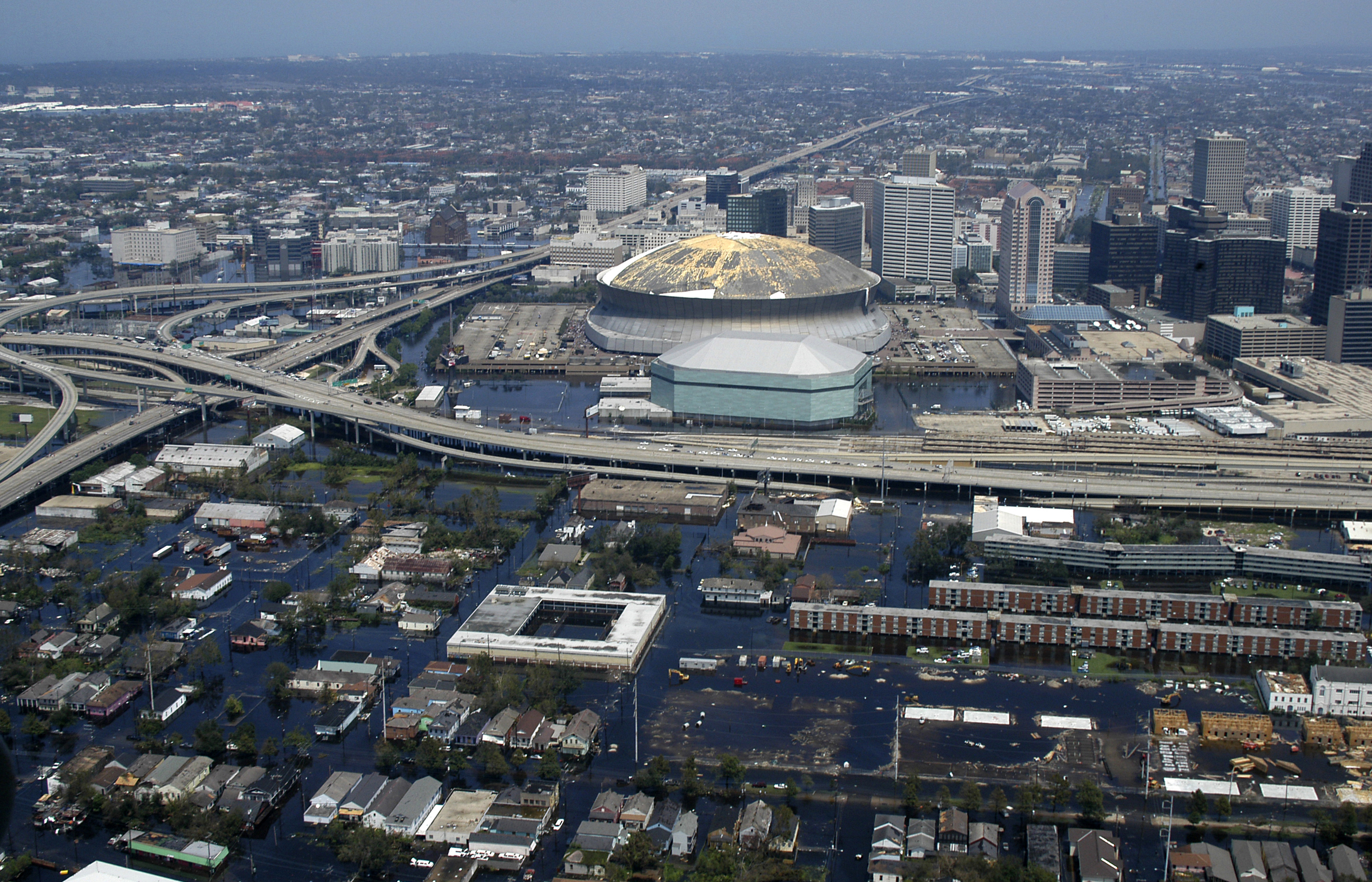 New orleans thot