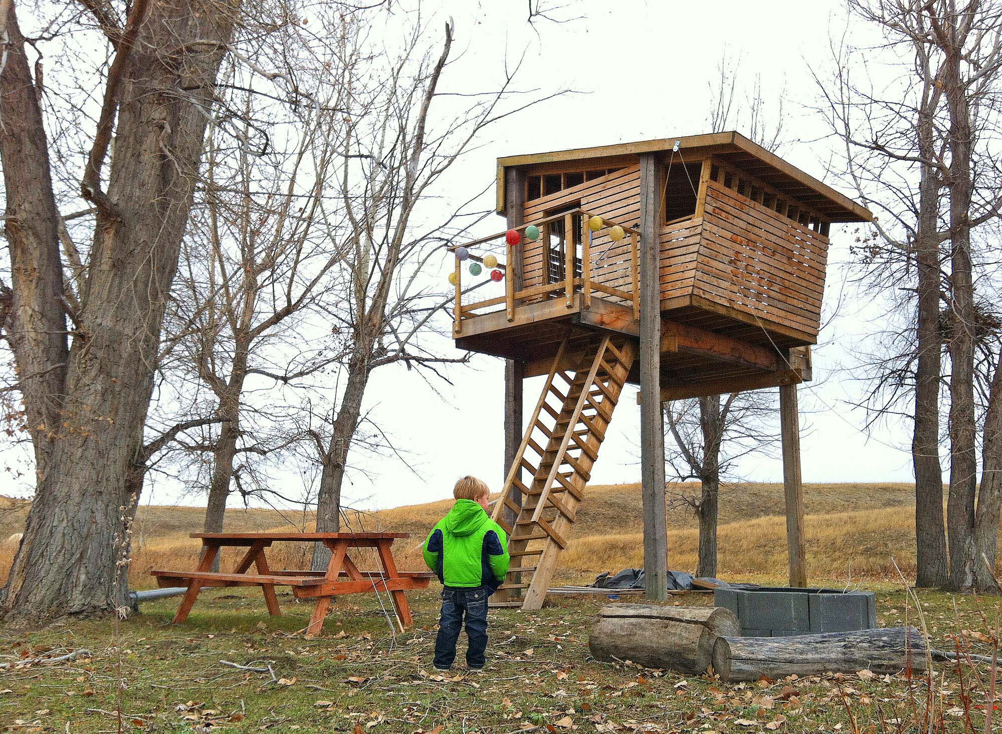 Treetop House Architizer