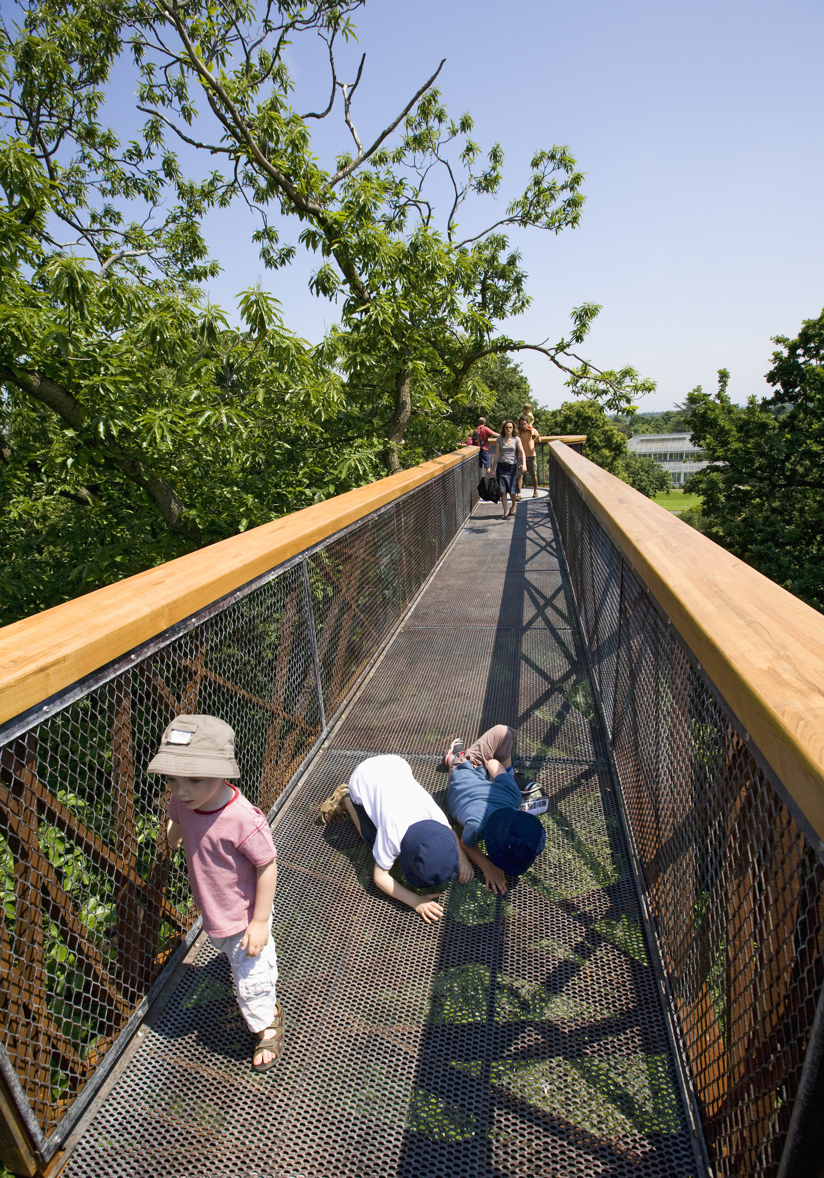 Kew Gardens Treetop Walkway Architizer