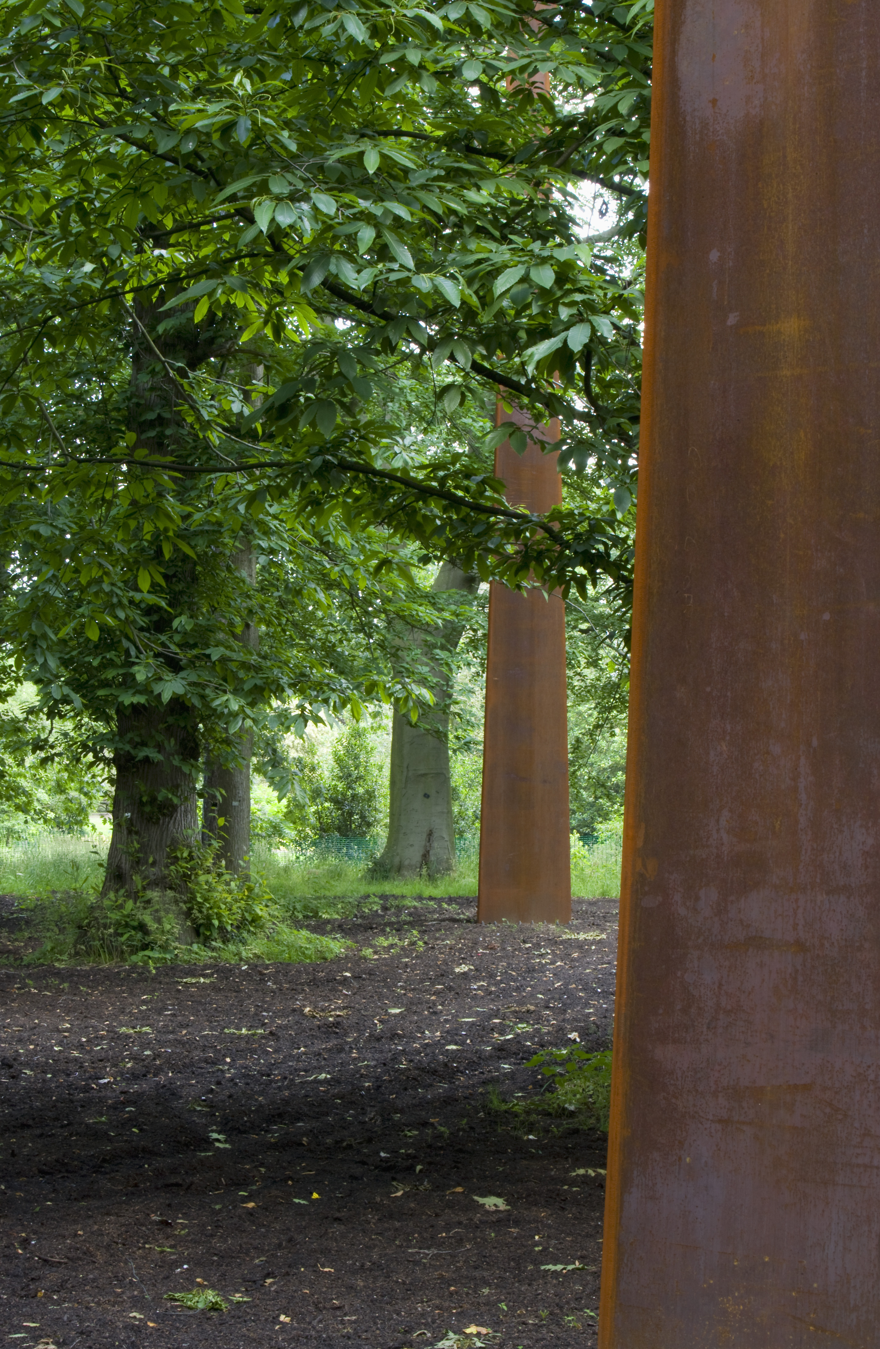 Kew Gardens Treetop Walkway - Architizer