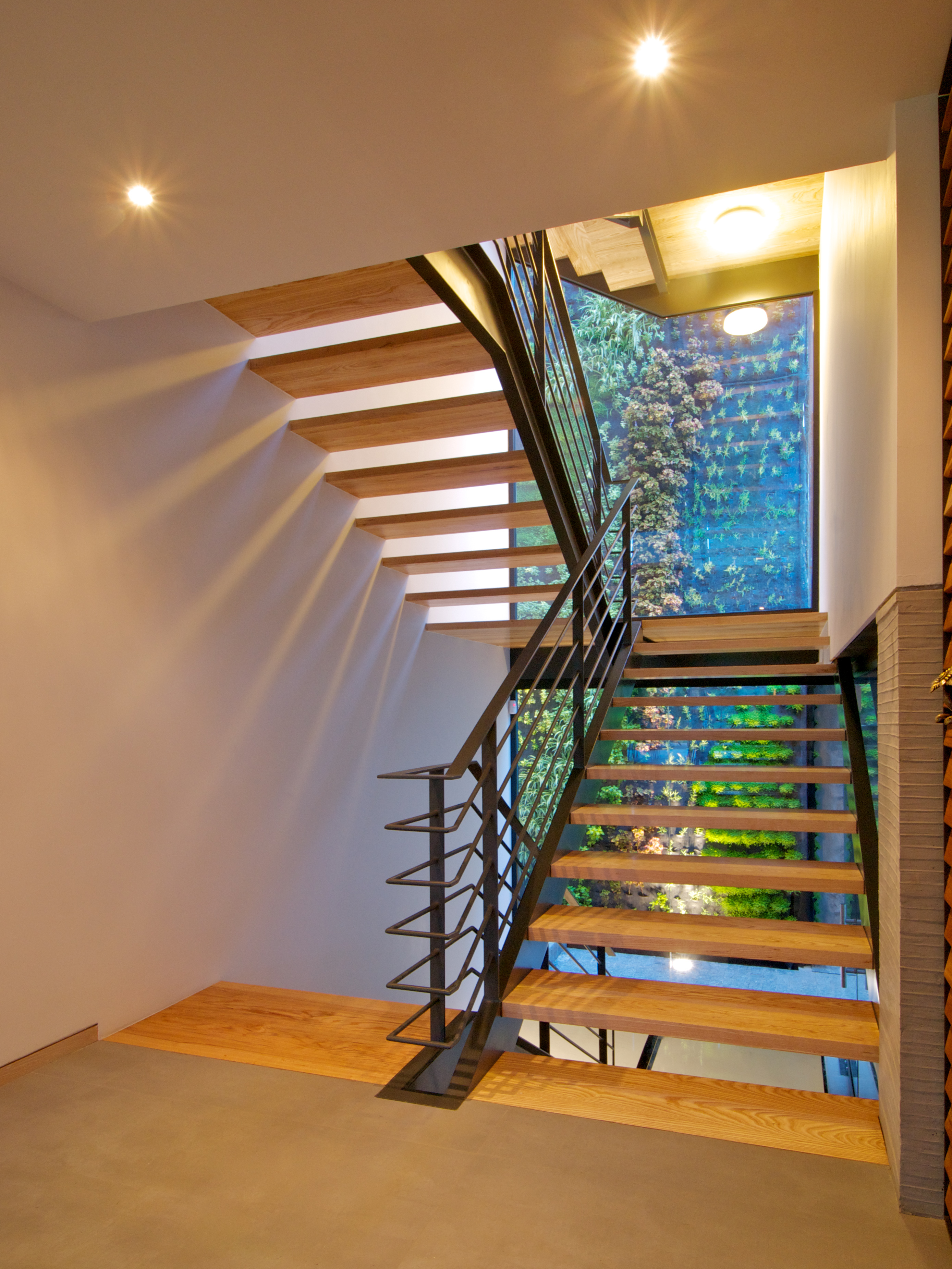 Jacarandas House by Hernandez Silva Architects - Architizer