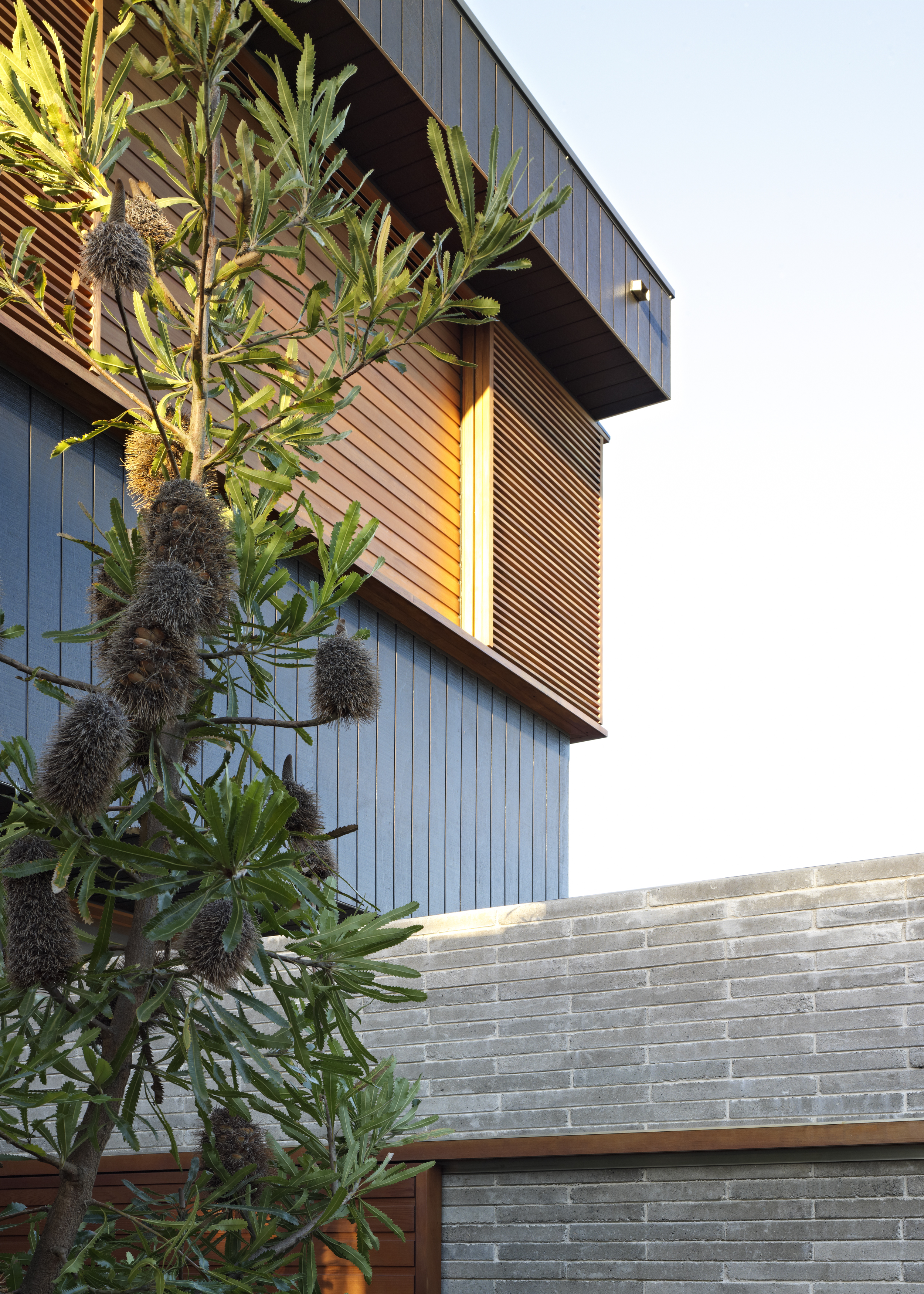 Plywood House II Architizer