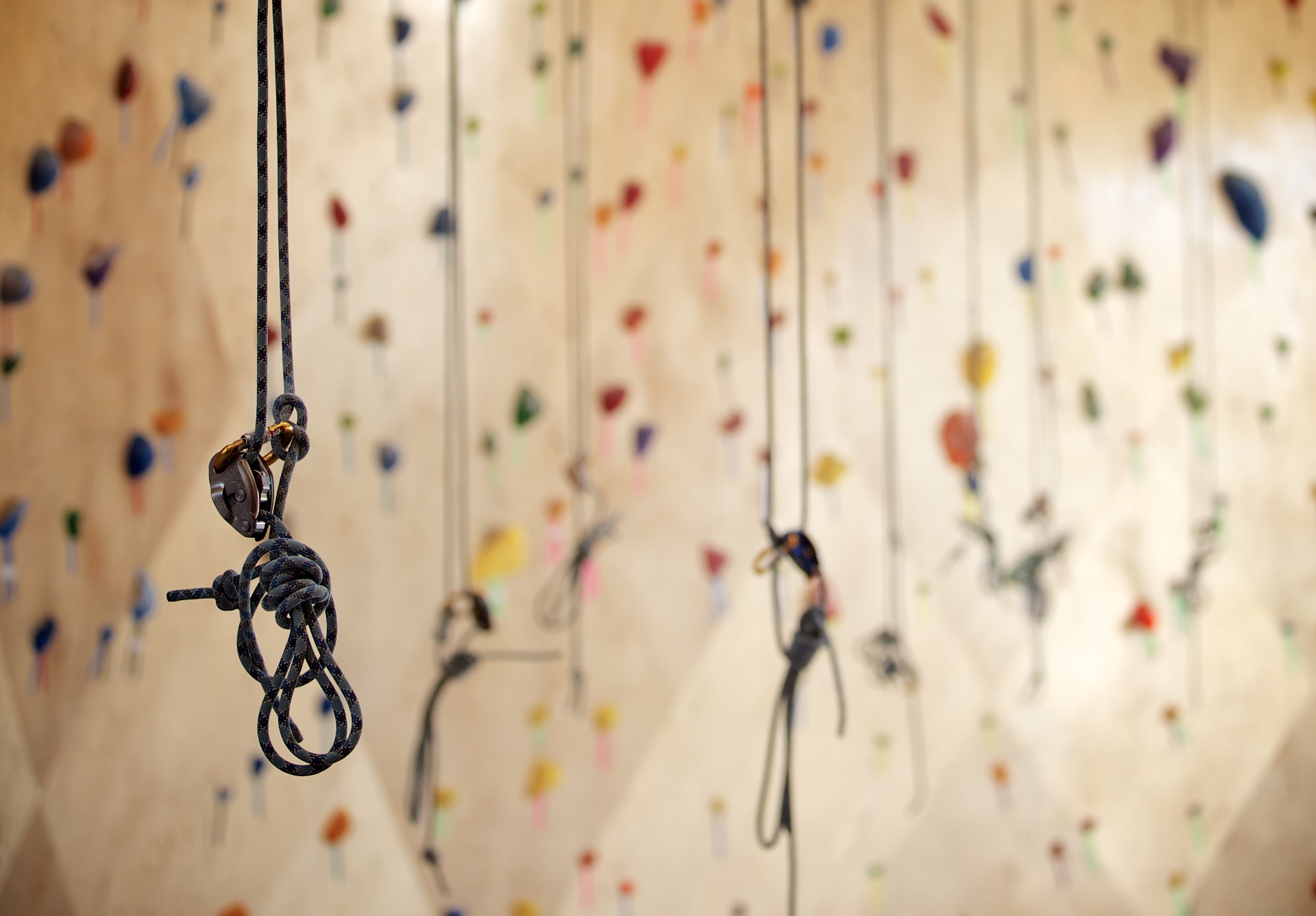 Brooklyn Boulders Somerville by Arrowstreet Architizer