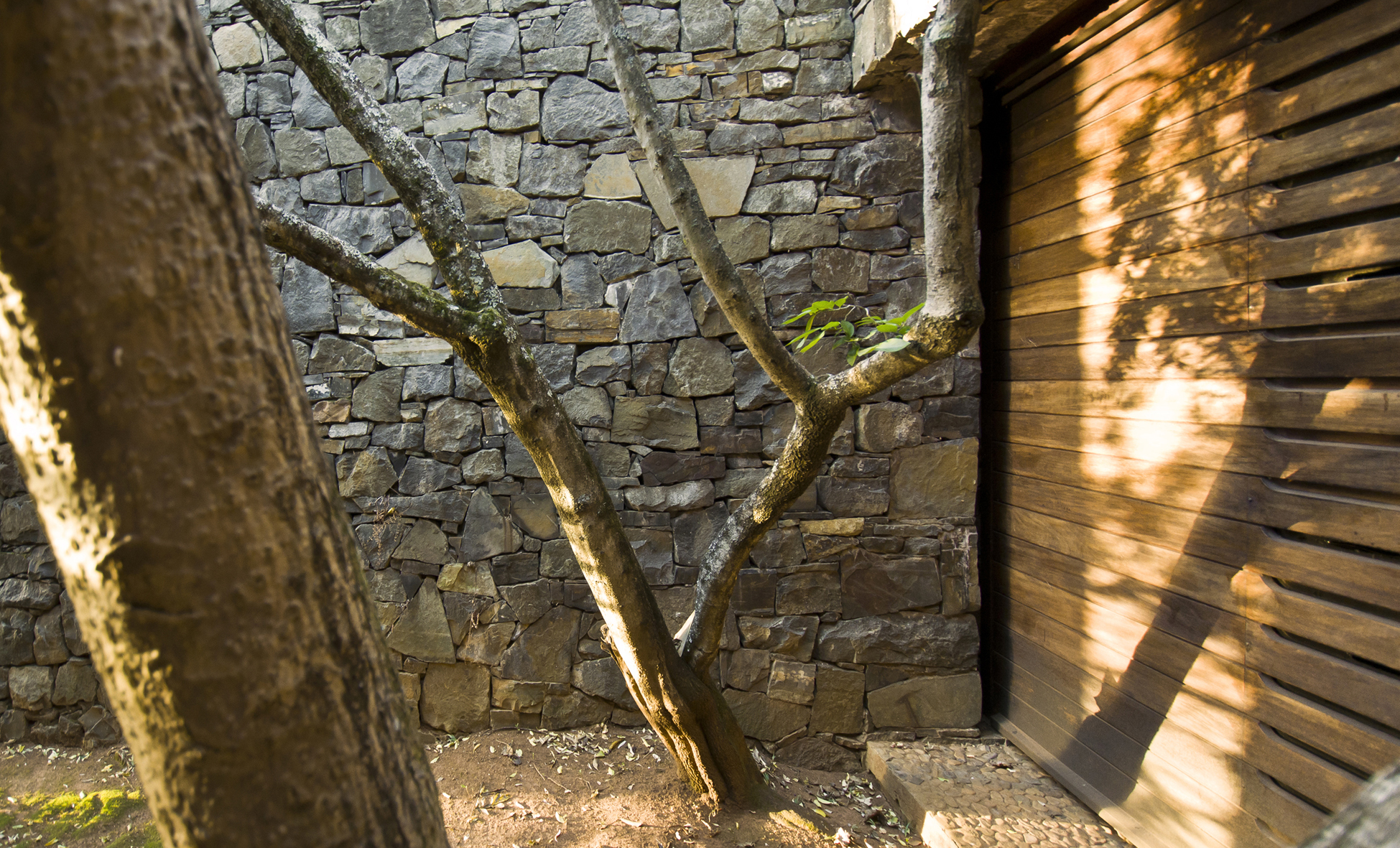 Coromandel Estate Manor House by Dewald van Helsdingen Architectural Photography Architizer