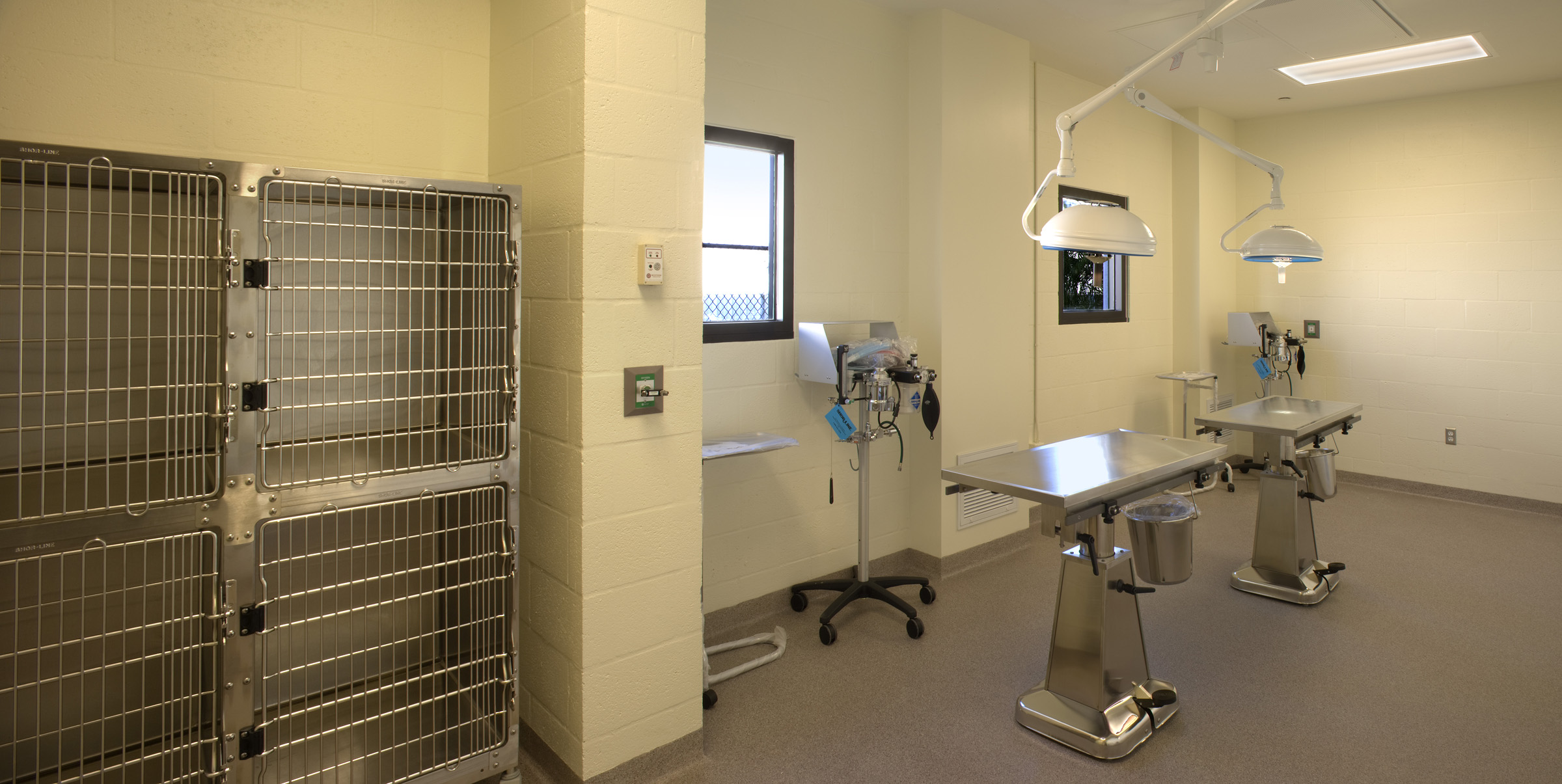 Cat Depot by The Schimberg Group Inc. Architizer