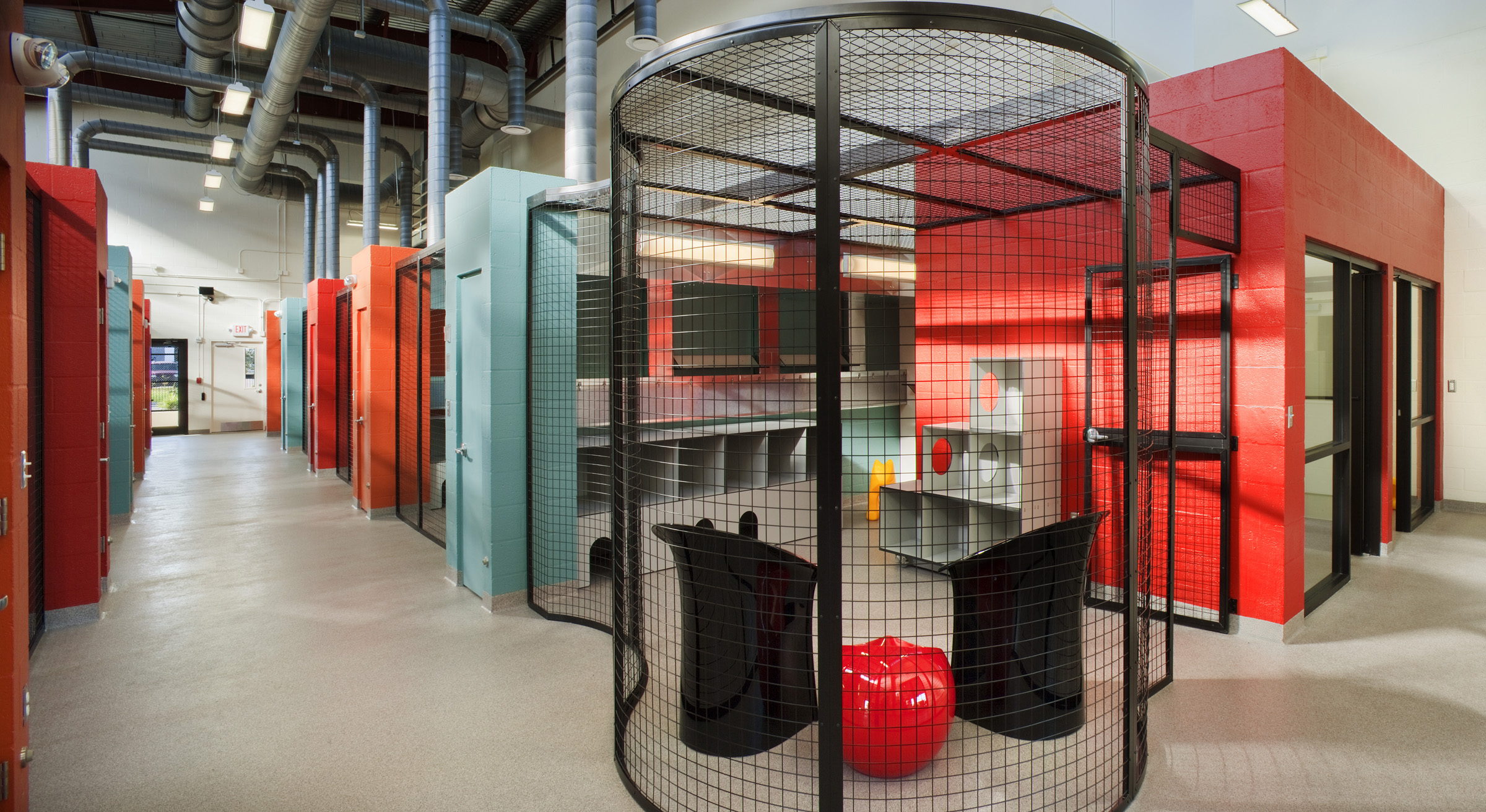 Cat Depot by The Schimberg Group Inc. Architizer