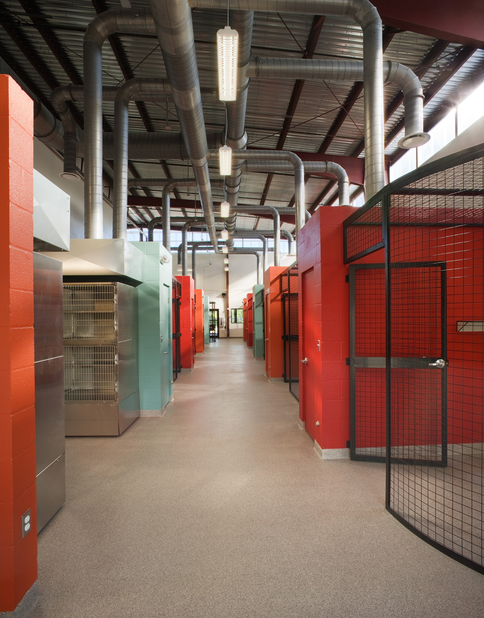 Cat Depot by The Schimberg Group Inc. Architizer