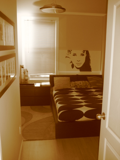 Barrington Apartment by rktectureArchitecture,Art, & Interior Design