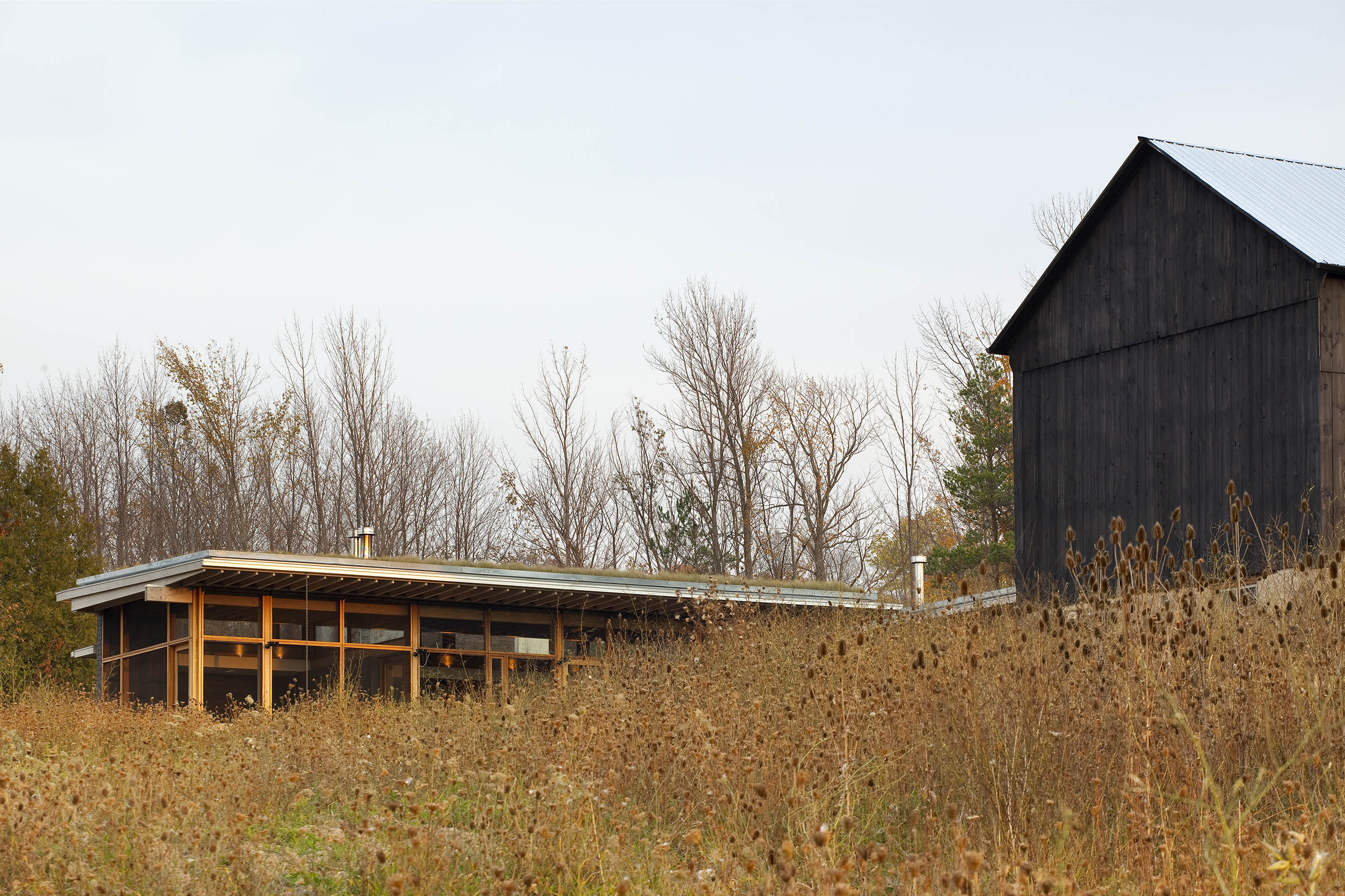 house in grey county Architizer