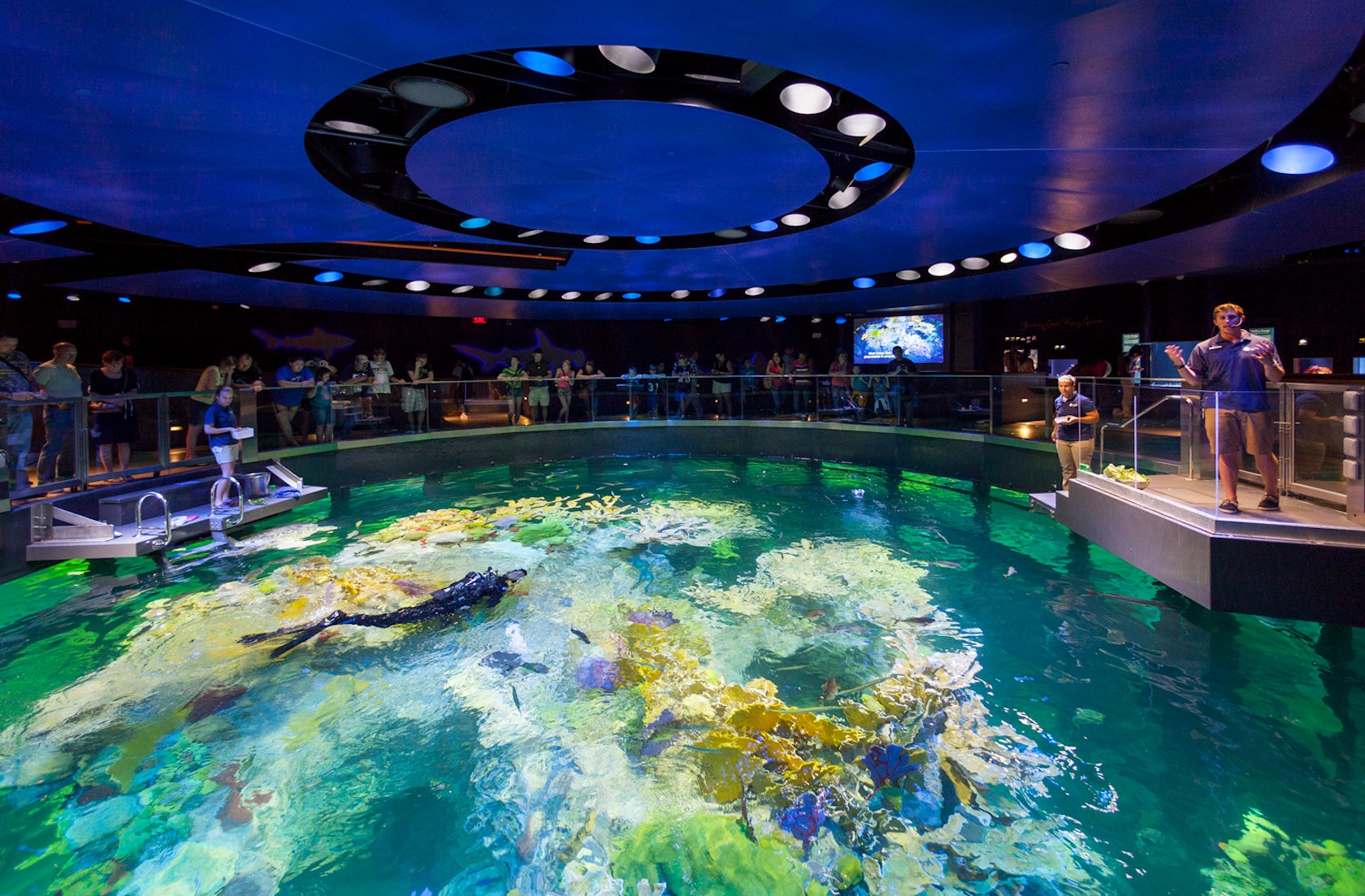 New England Aquarium Giant Ocean Tank by CambridgeSeven Architizer