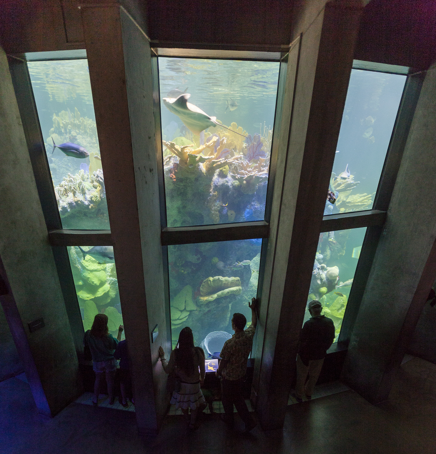 New England Aquarium Giant Ocean Tank Architizer