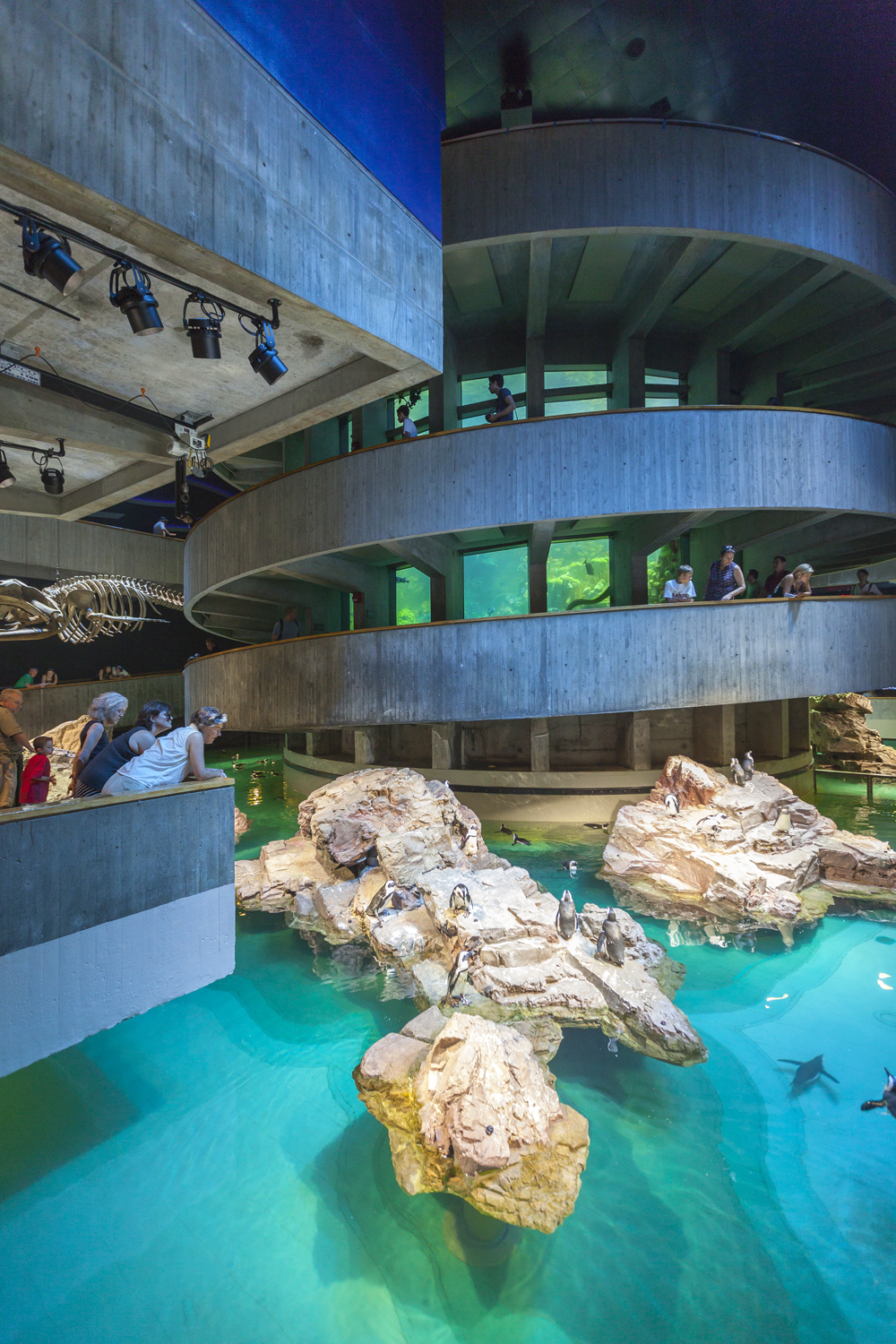 New England Aquarium Giant Ocean Tank Architizer