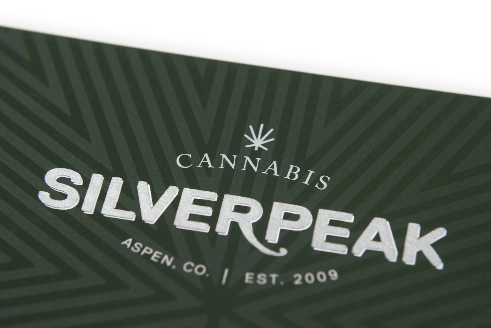 SILVERPEAK Architizer