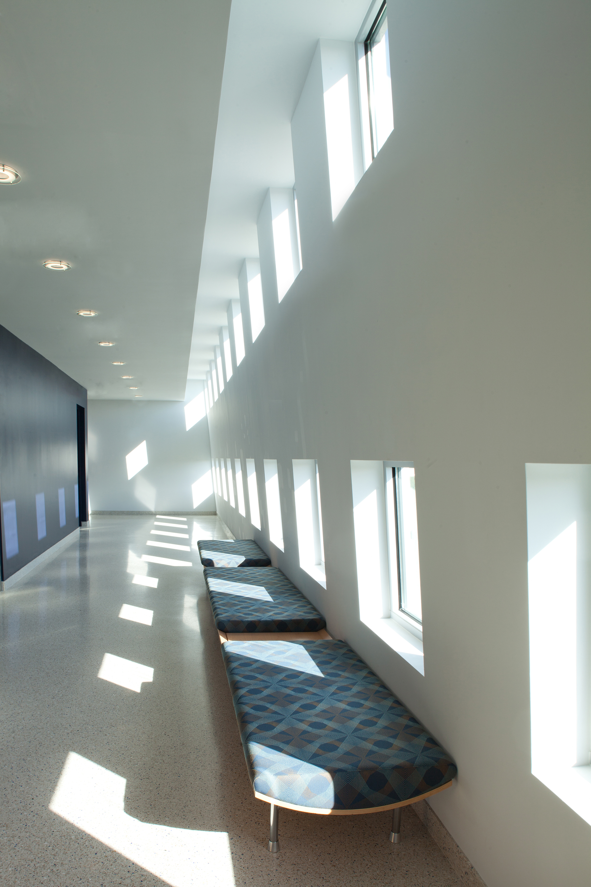 FLORIDA STATE UNIVERSITY INTERNATIONAL AFFAIRS visual data 8