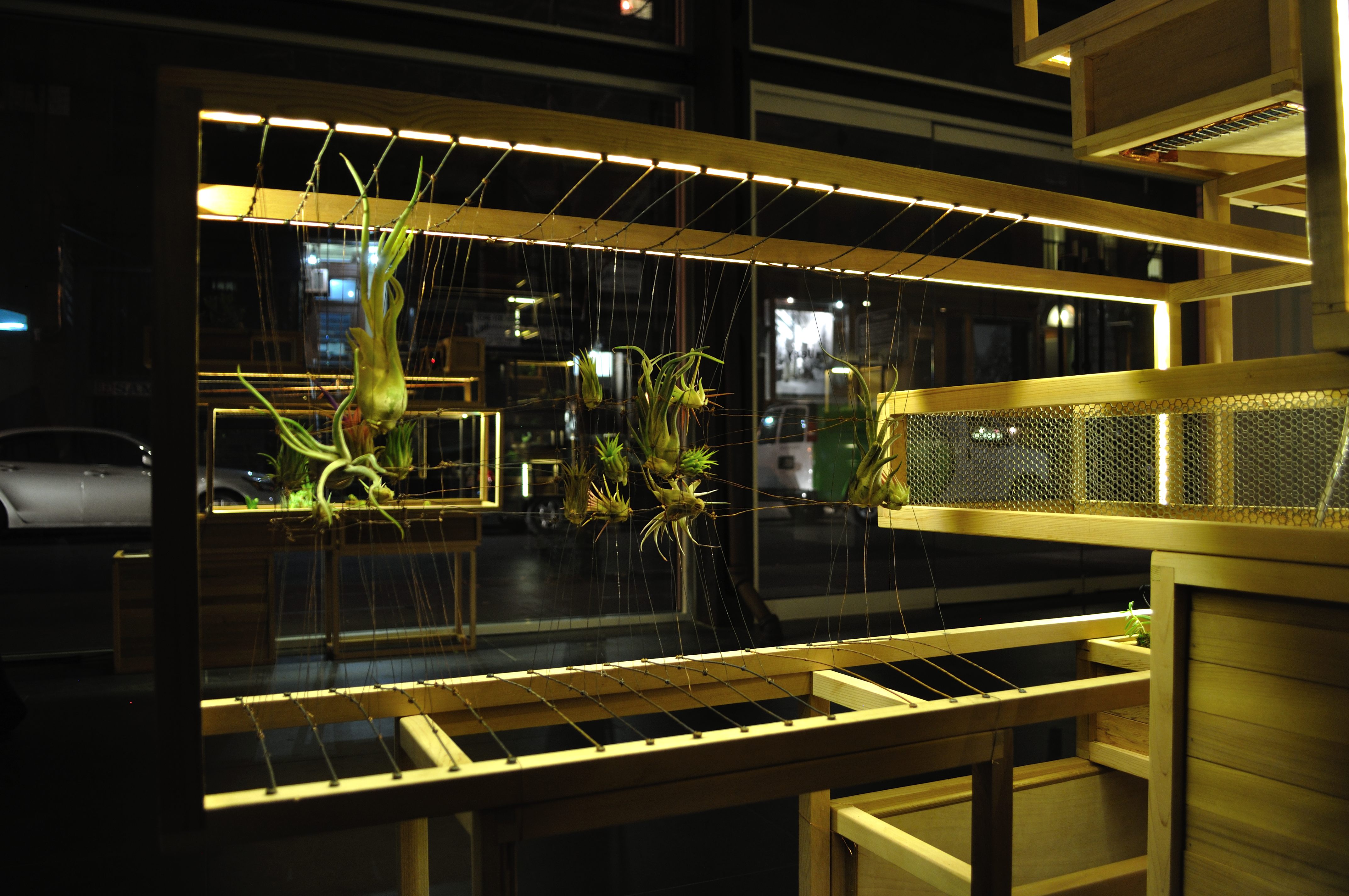 21st Century Terrariums by PlantIn City Architizer