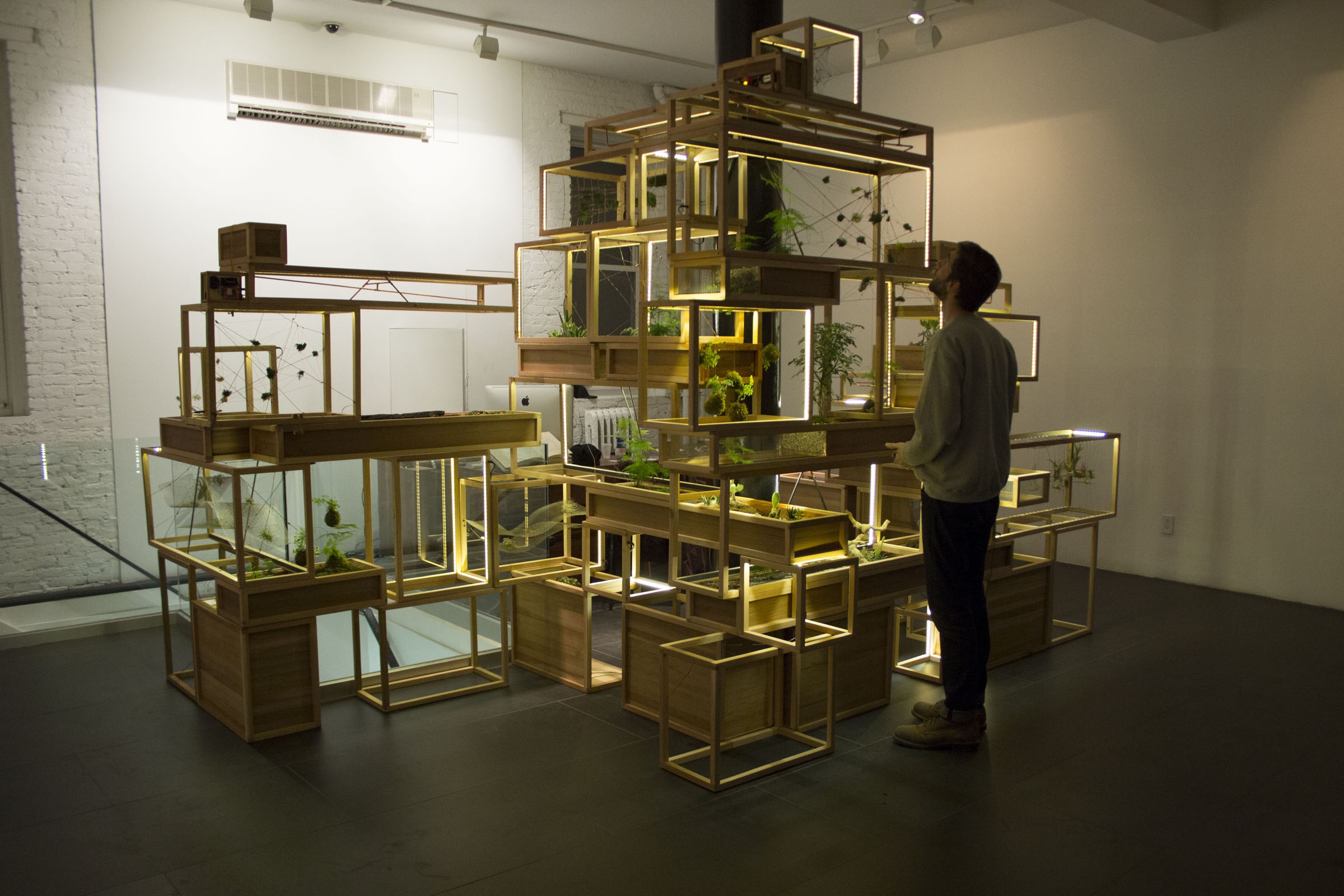 21st Century Terrariums by PlantIn City Architizer