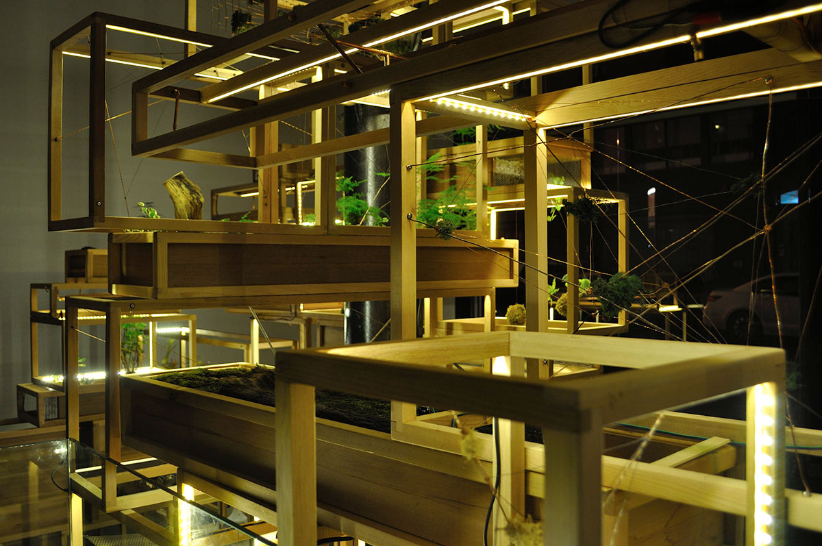 21st Century Terrariums by PlantIn City Architizer