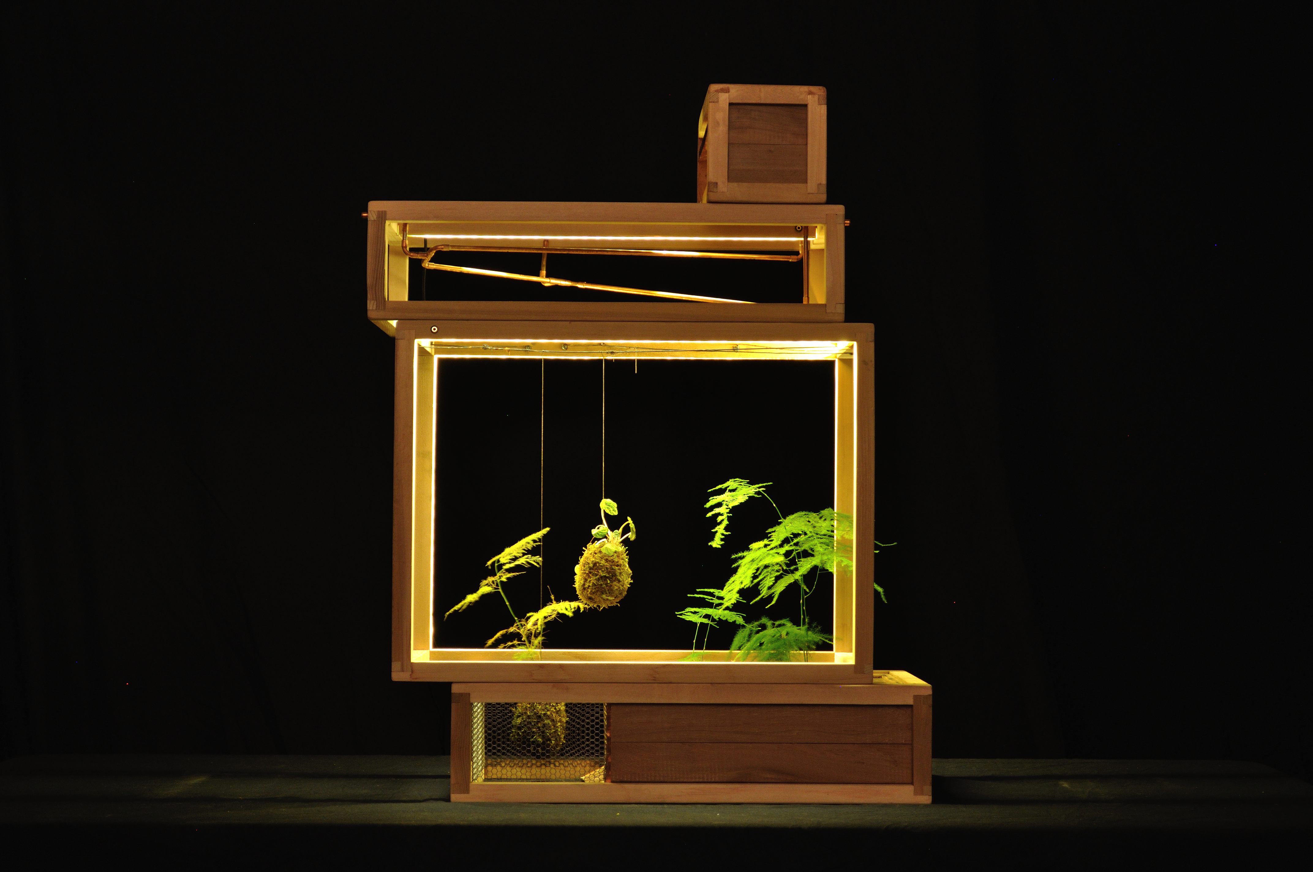 21st Century Terrariums by PlantIn City Architizer