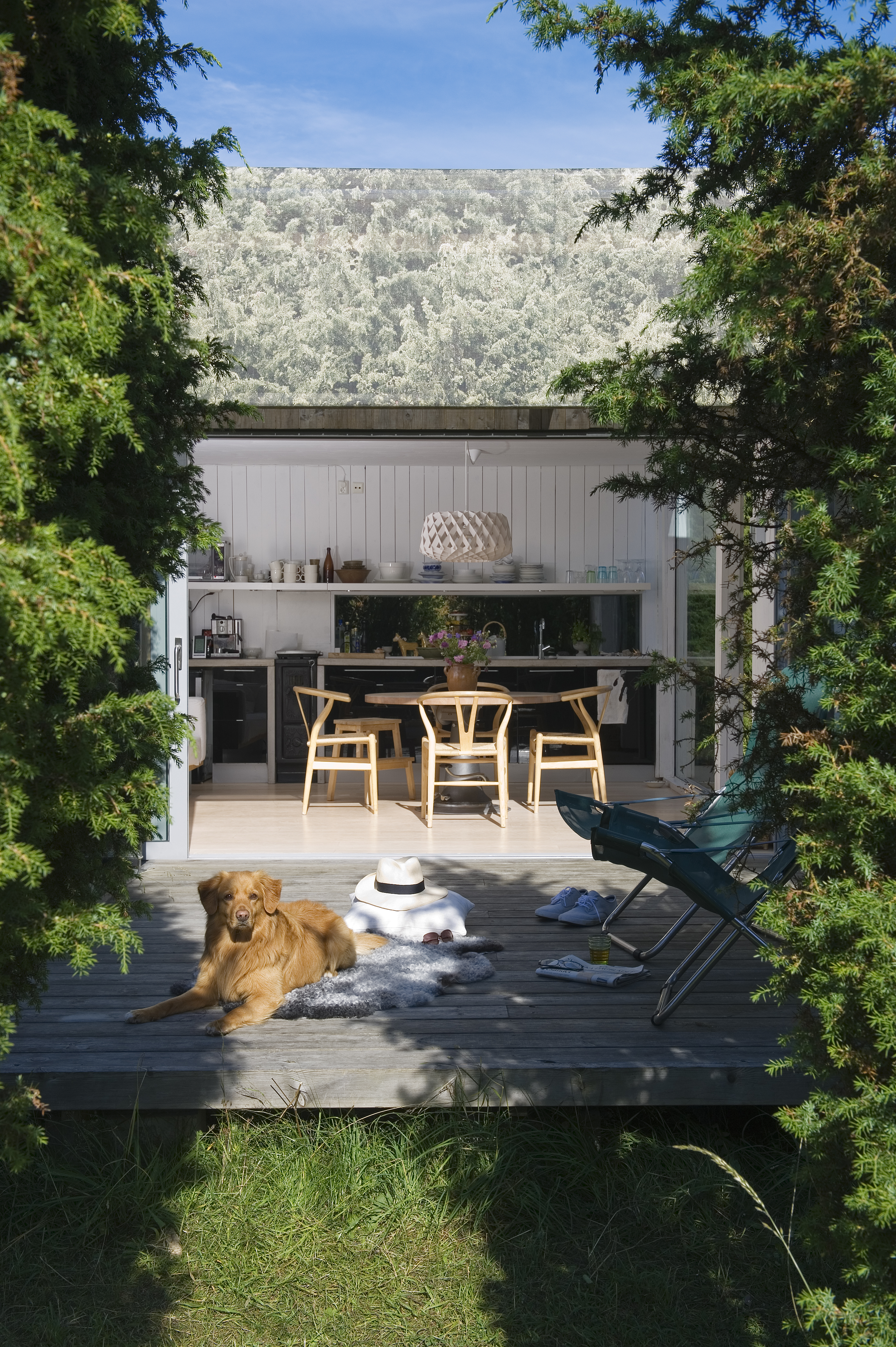 Juniper house Architizer