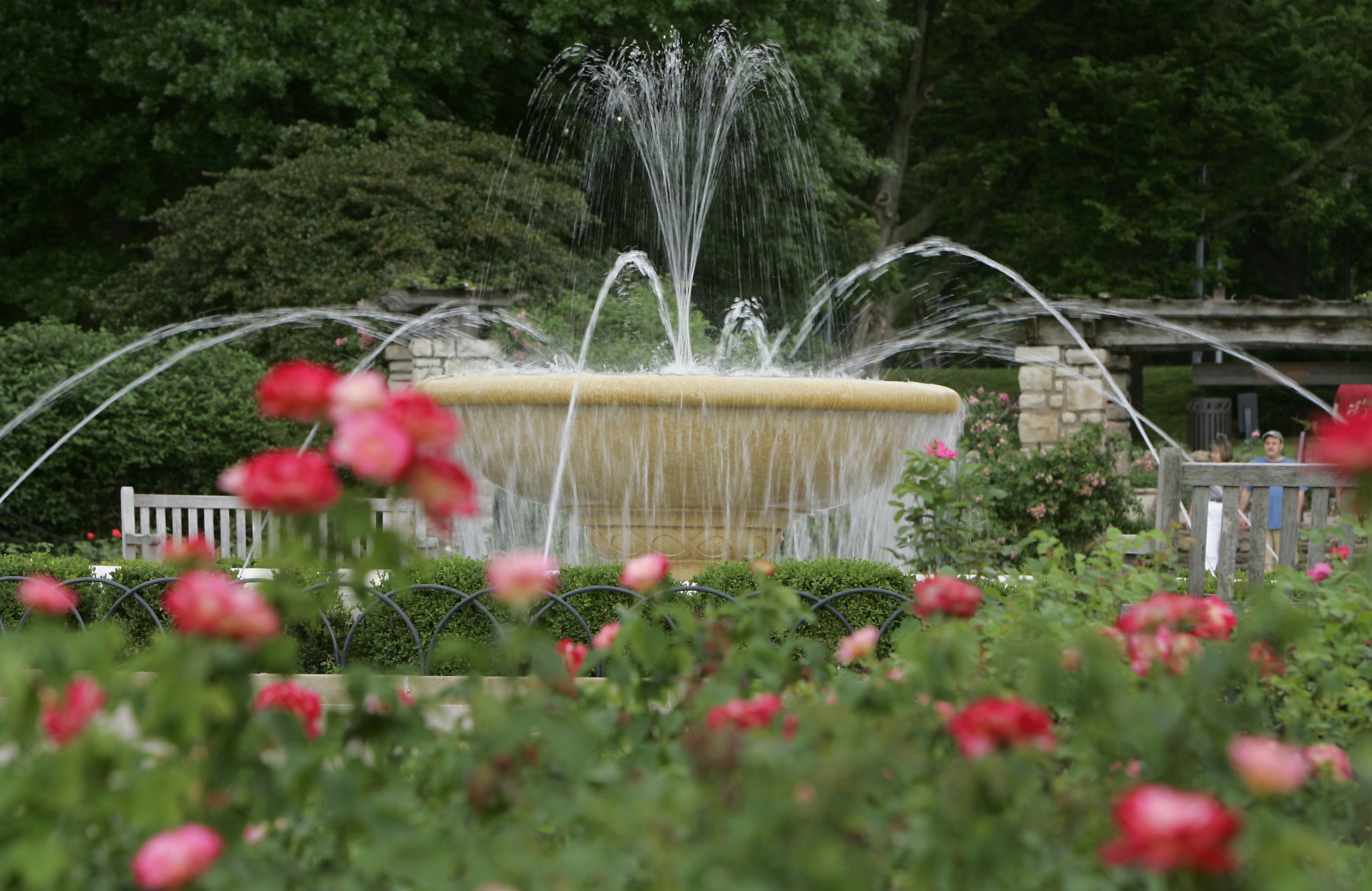 Municipal Rose Garden Fountain by BBN Architects Architizer