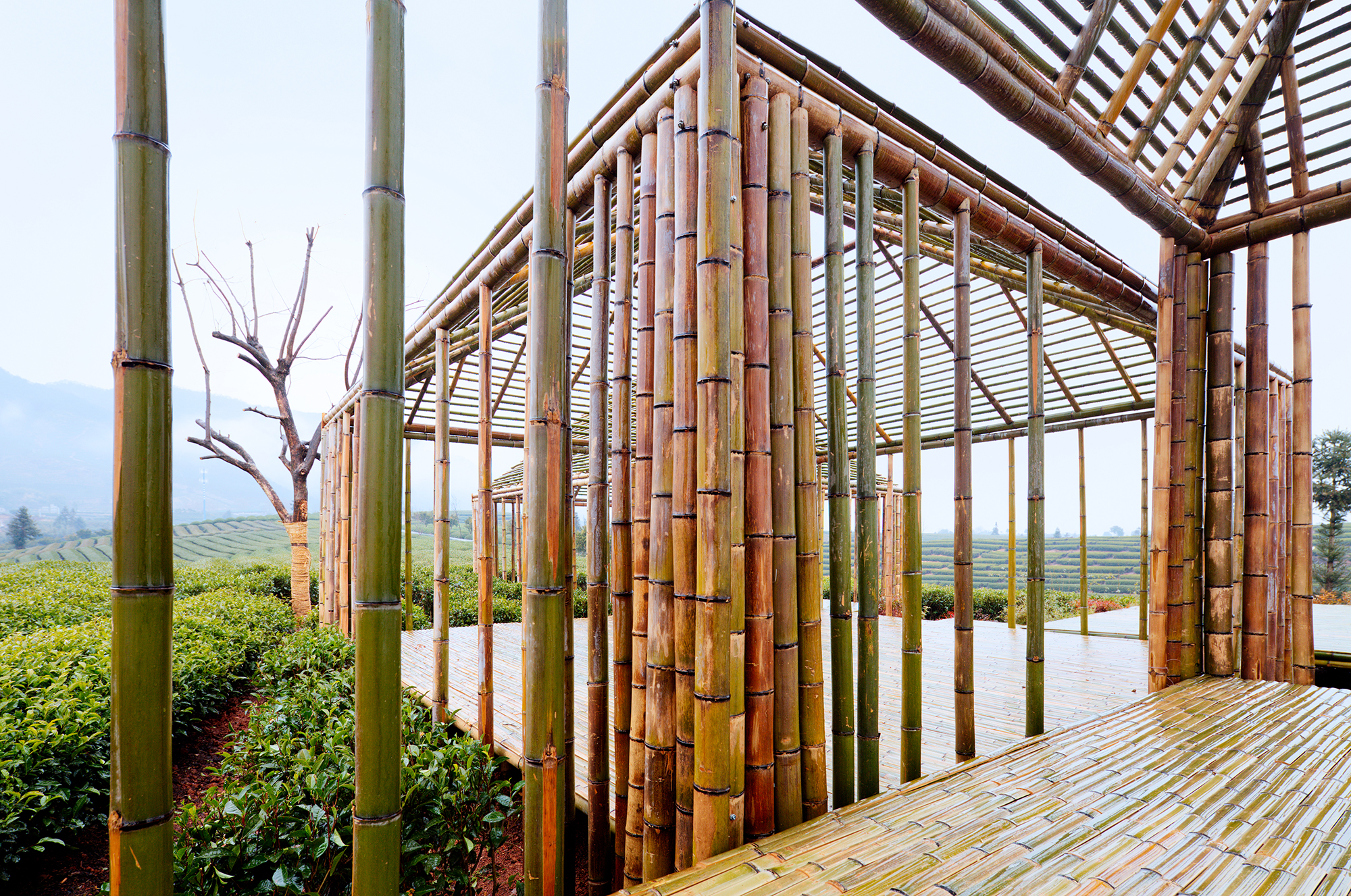 Bamboo Pavilion by DnA_Design And Architecture Architizer