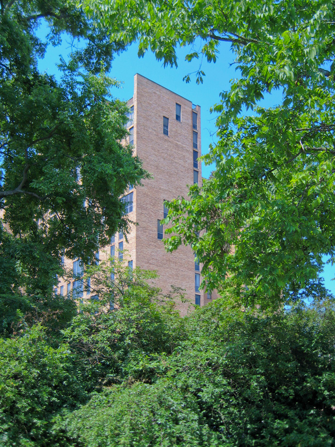 Rokeby Apartments by martin holub architects Architizer