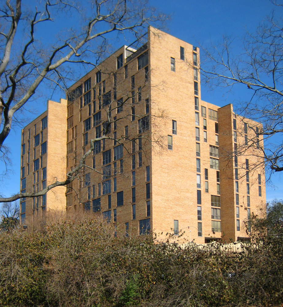 Rokeby Apartments by martin holub architects Architizer