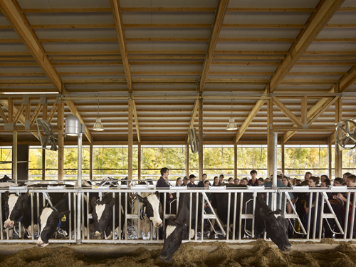 Cornell Teaching Dairy Barn by Erdy McHenry Architecture, LLC Architizer