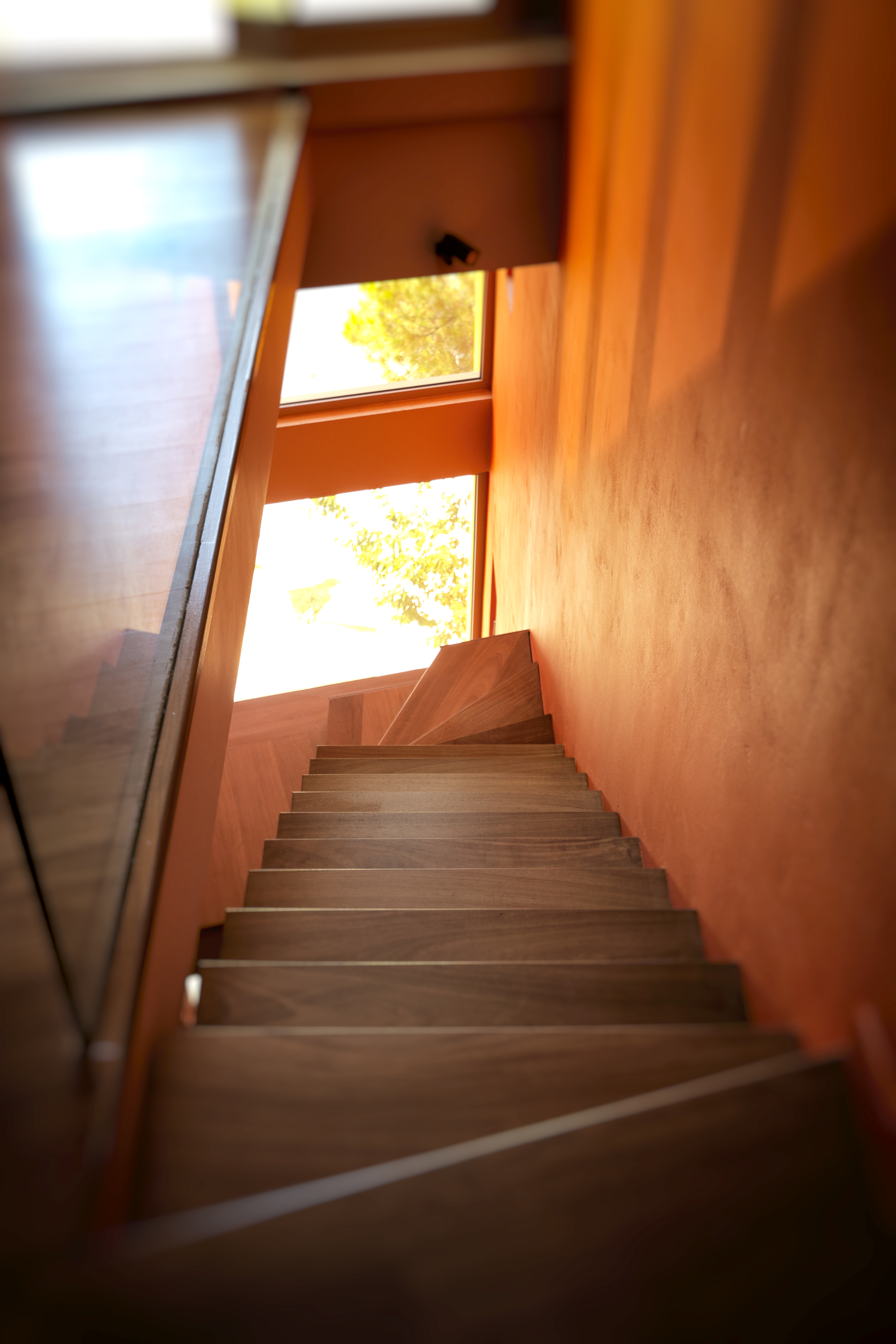 opening house Architizer