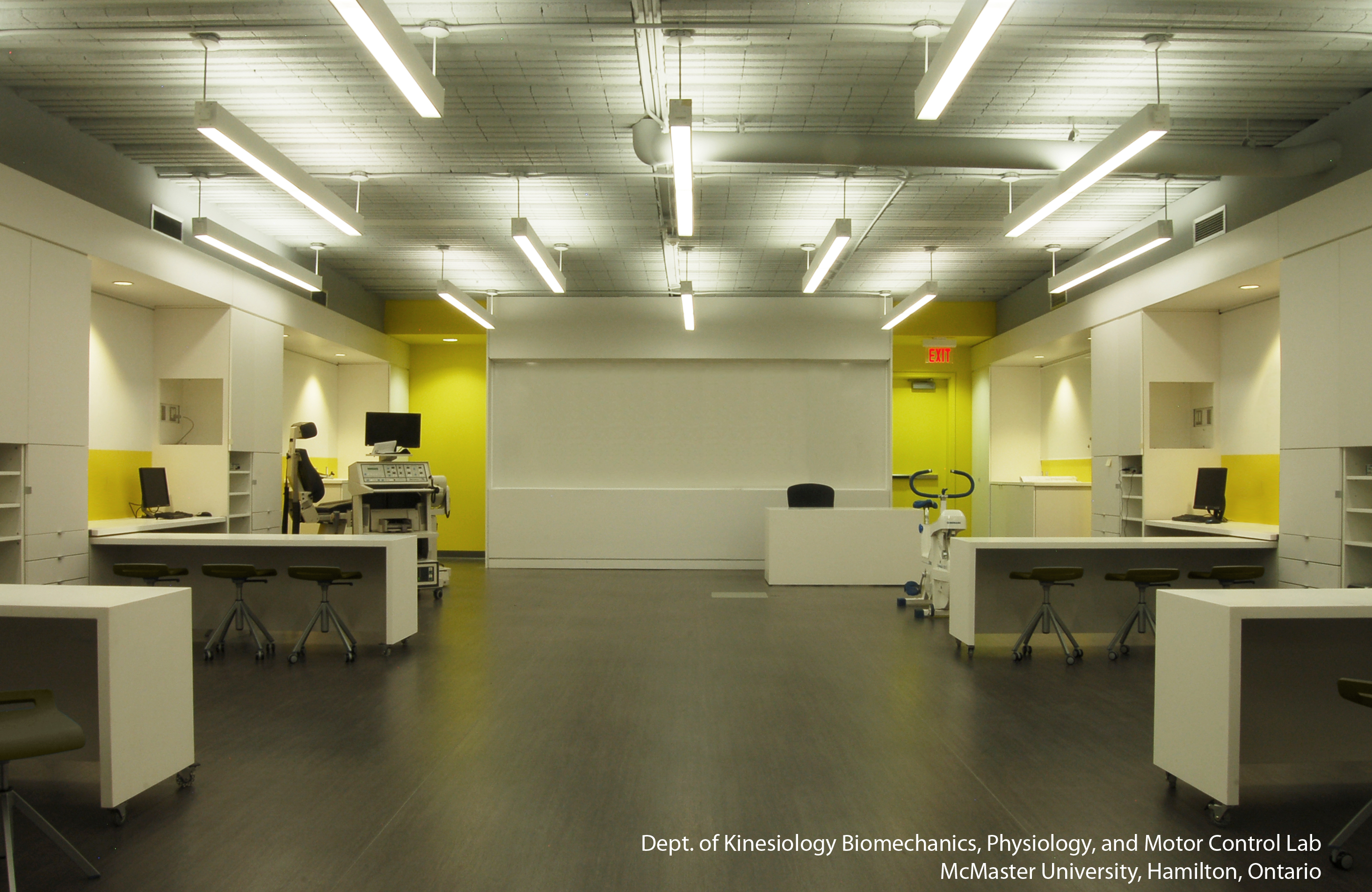 Structural Kinesiology Labs