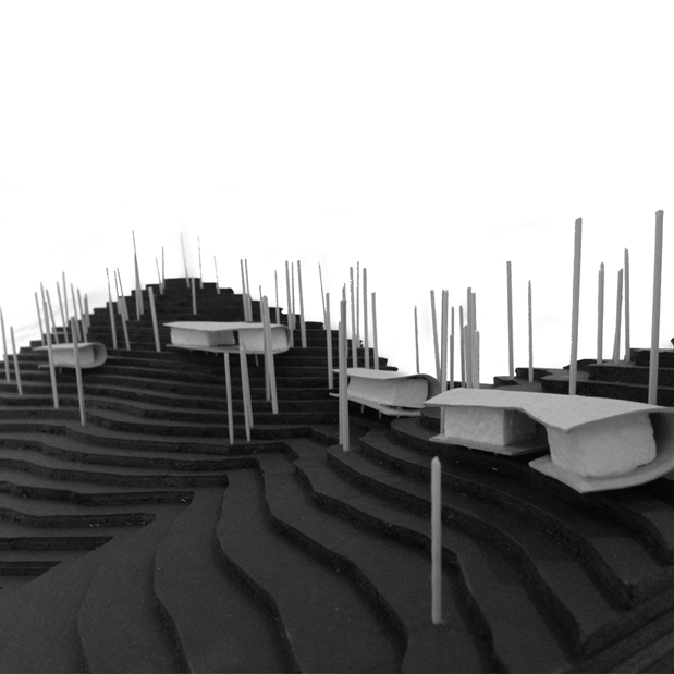 Mount Cotton Eco Cabins by Alexandra Buchanan Architecture Architizer