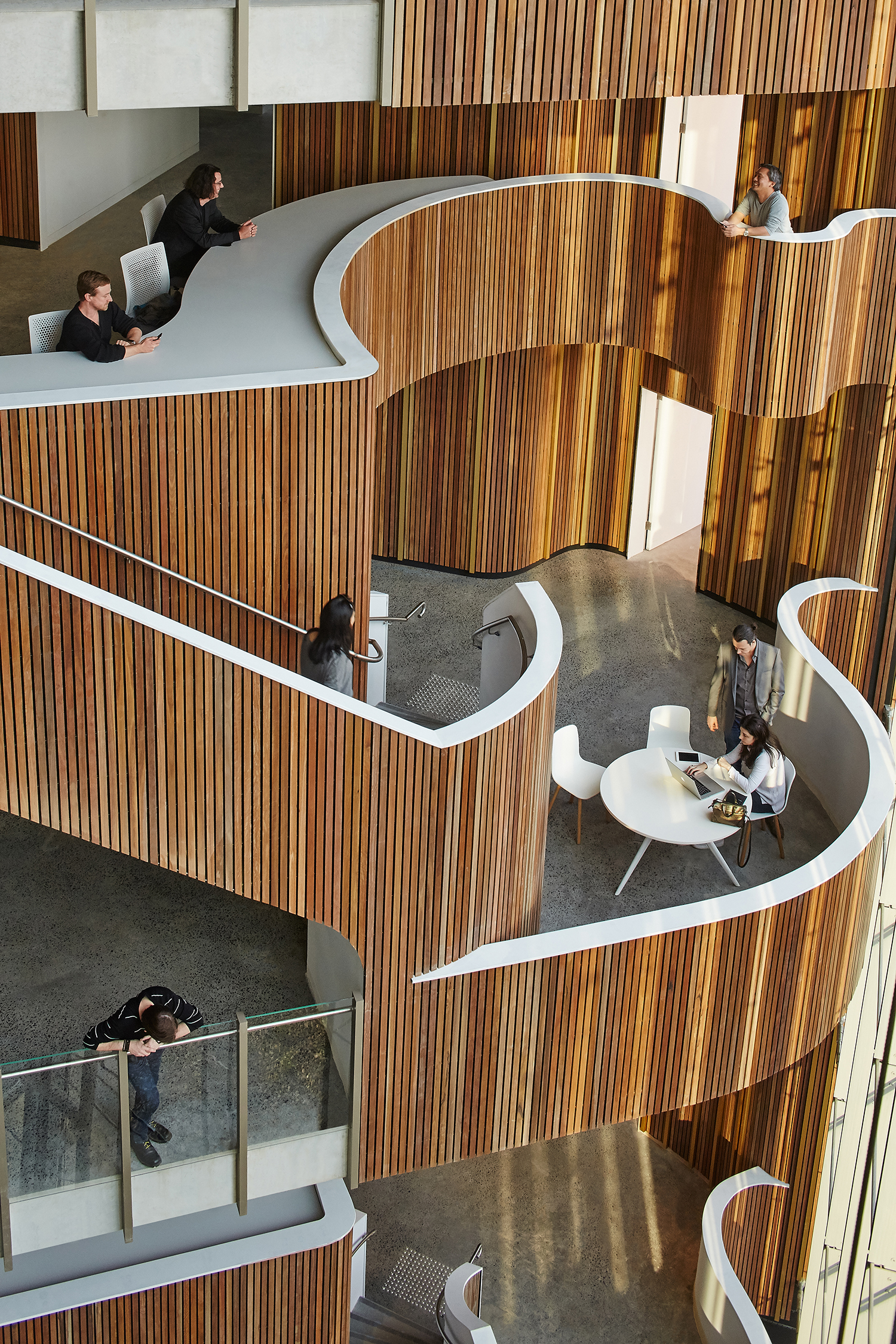 Novartis Australia HQ Building by HDR Architizer