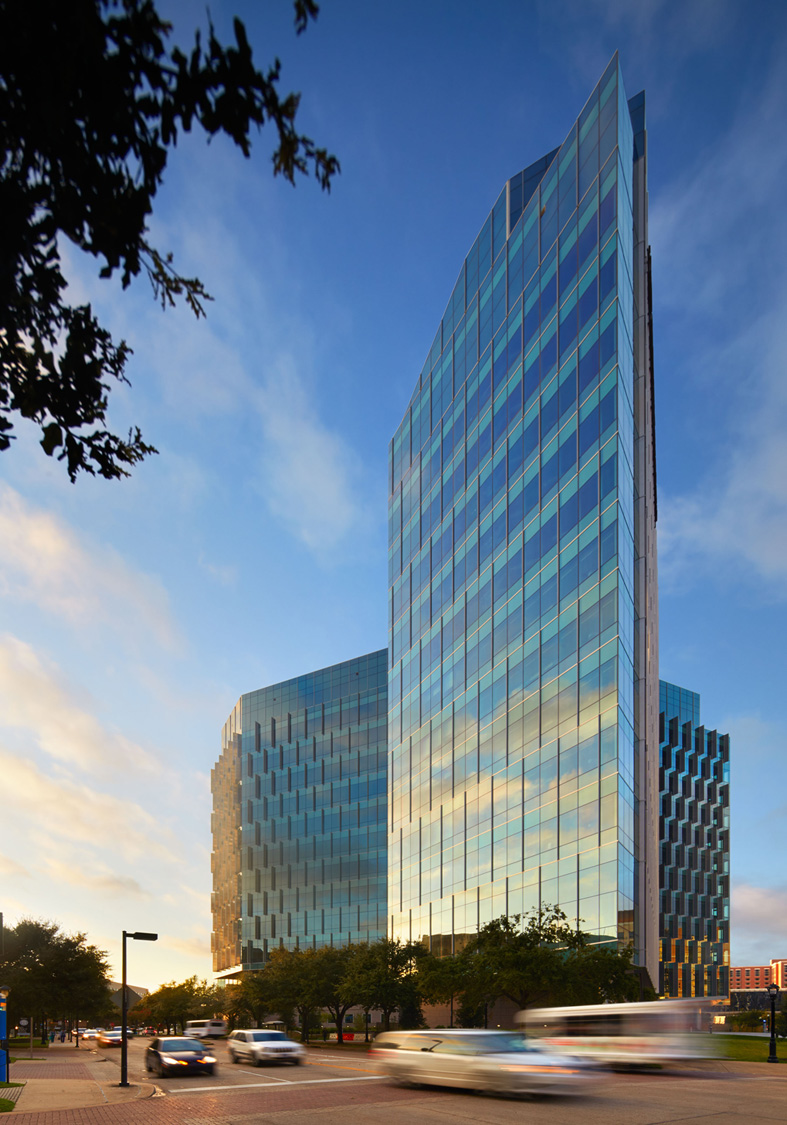 University of Texas MD Anderson Cancer Center, Zayed