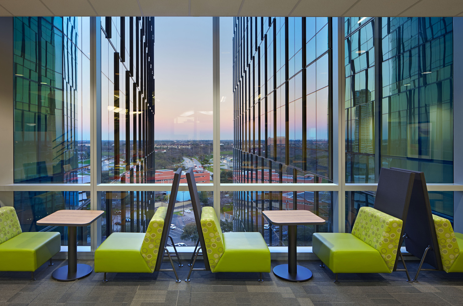 Idea 1427552 University of Texas MD Anderson Cancer Center, Zayed