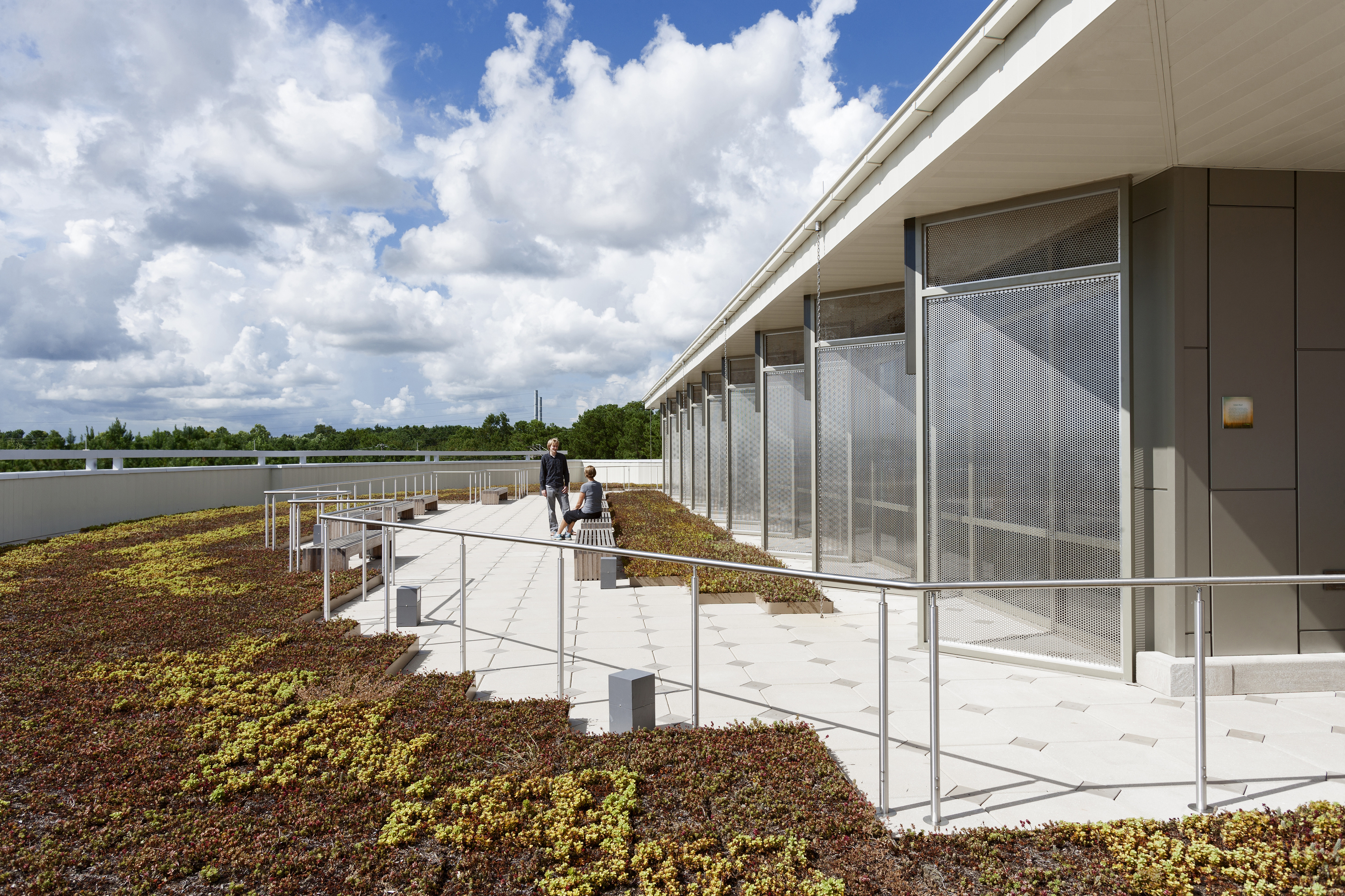 Trident Technical College Nursing And Science Building By LS3P - Architizer