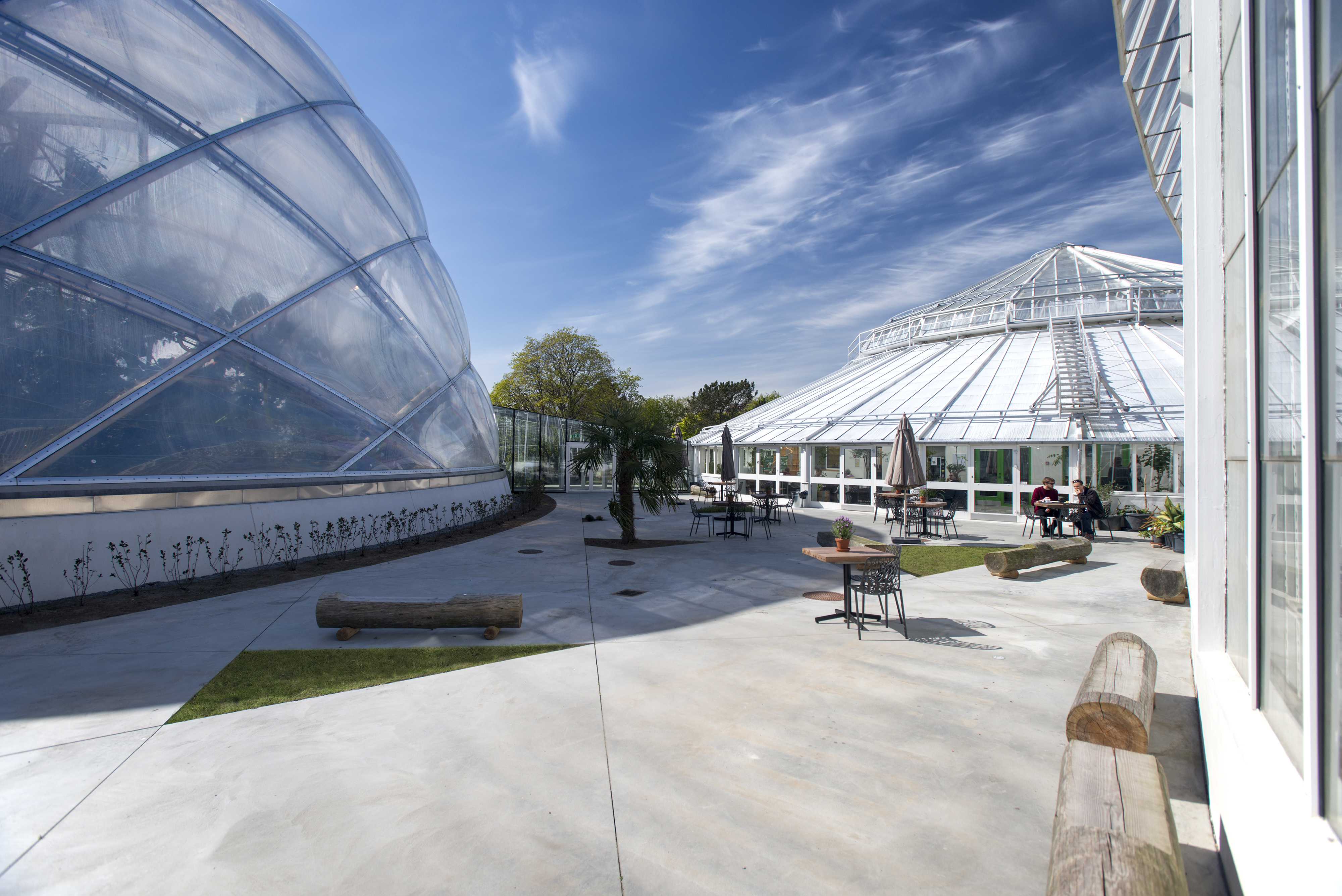 Greenhouse in the Botanic Garden, University of Aarhus Architizer