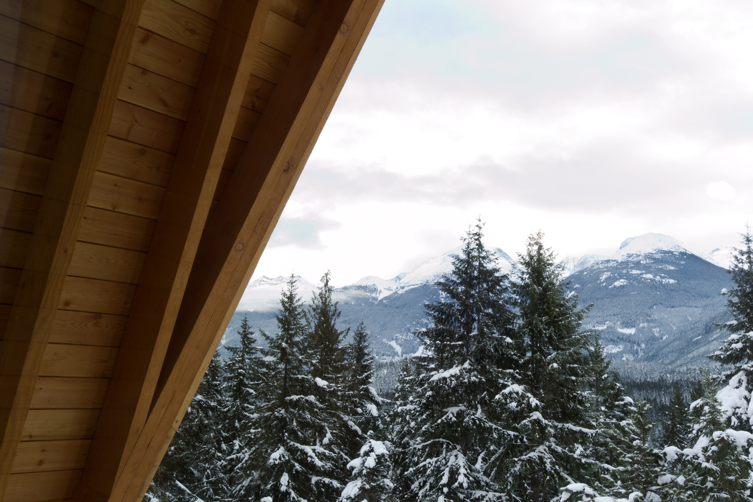 Whistler Cabin by Scott & Scott Architects - Architizer
