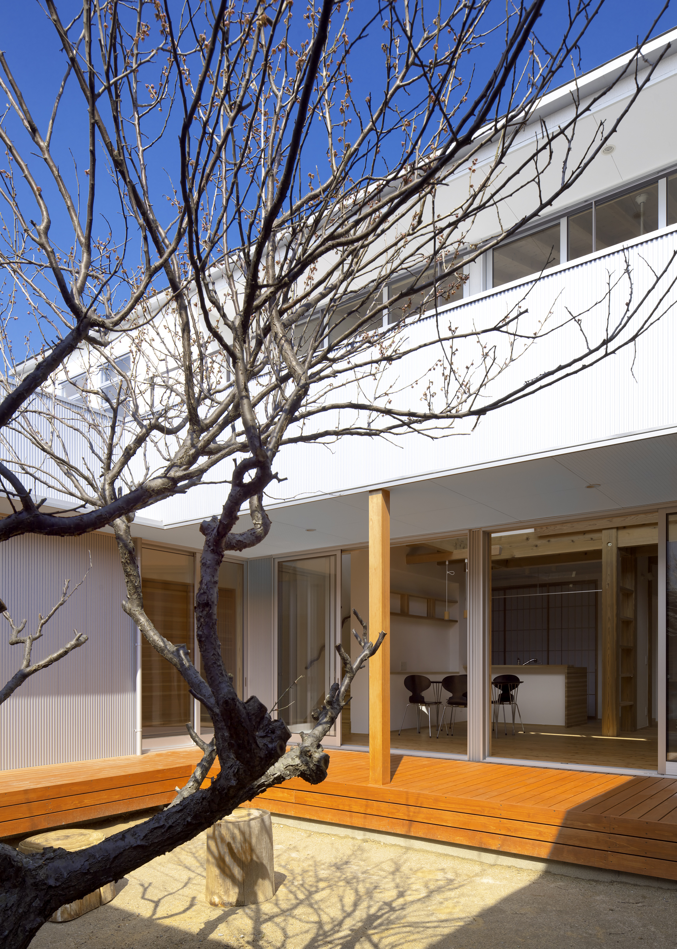 House with a plum tree Architizer