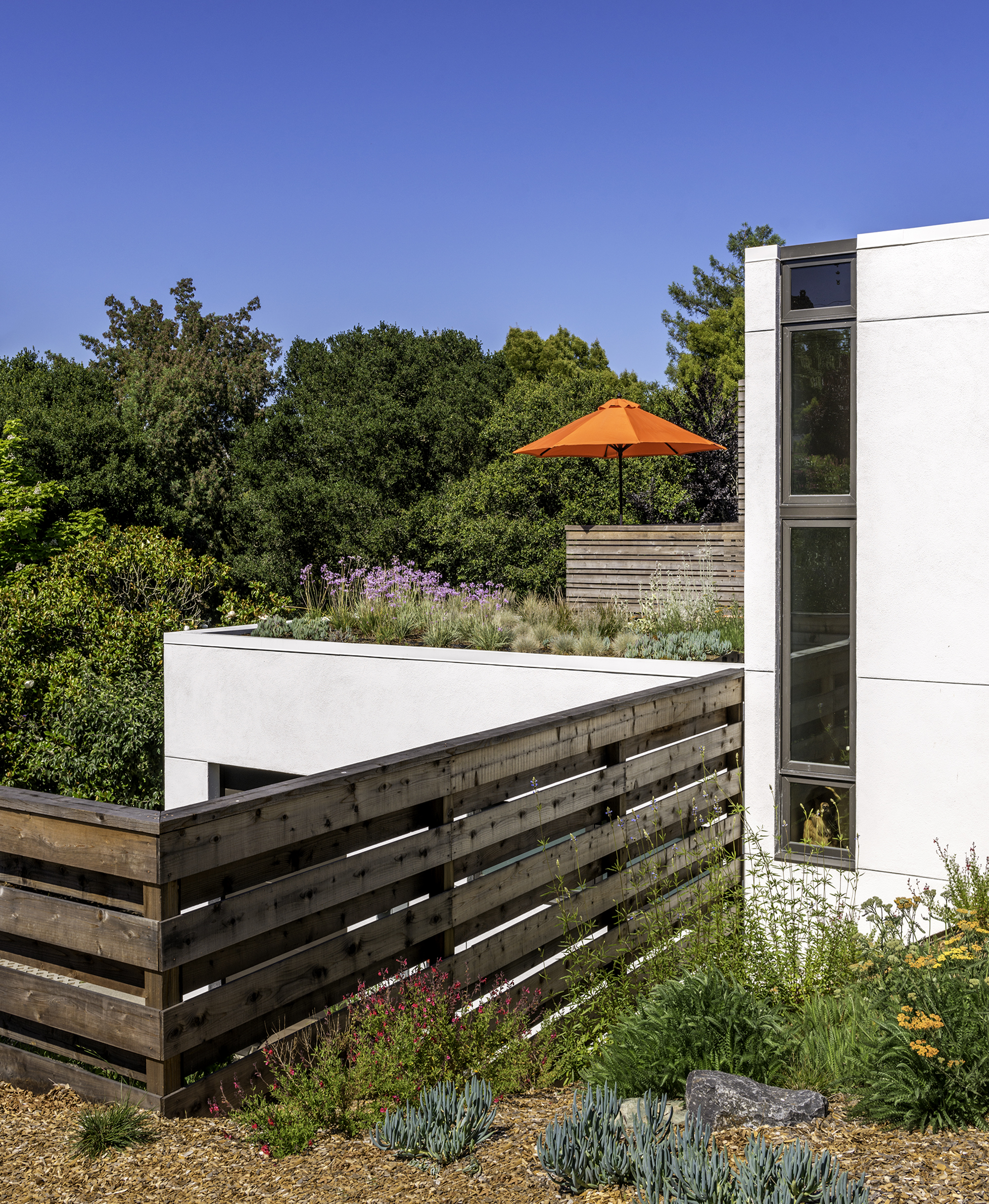 Sebastopol Solar Home by Baumgardner Architecture Architizer