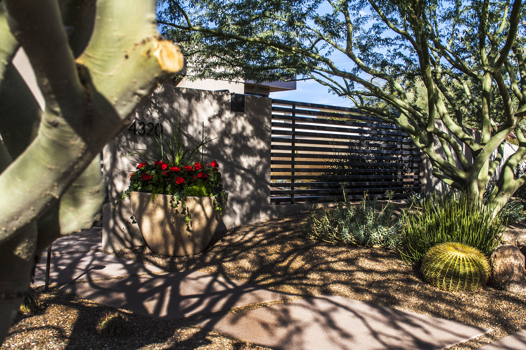 Phoenix Desert Contemporary by Robert Klob Designs, Inc. Architizer