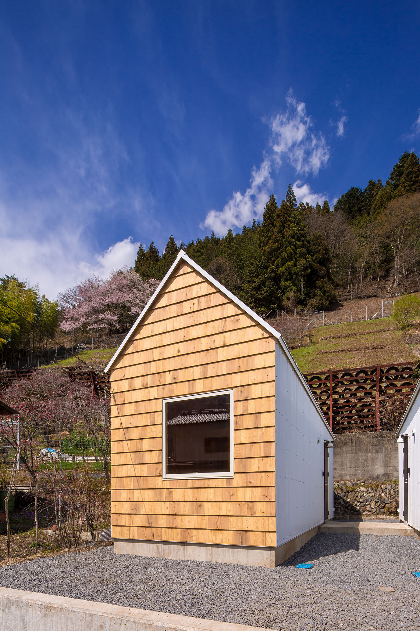 cedar house , pine house by cedar house , pine house Architizer