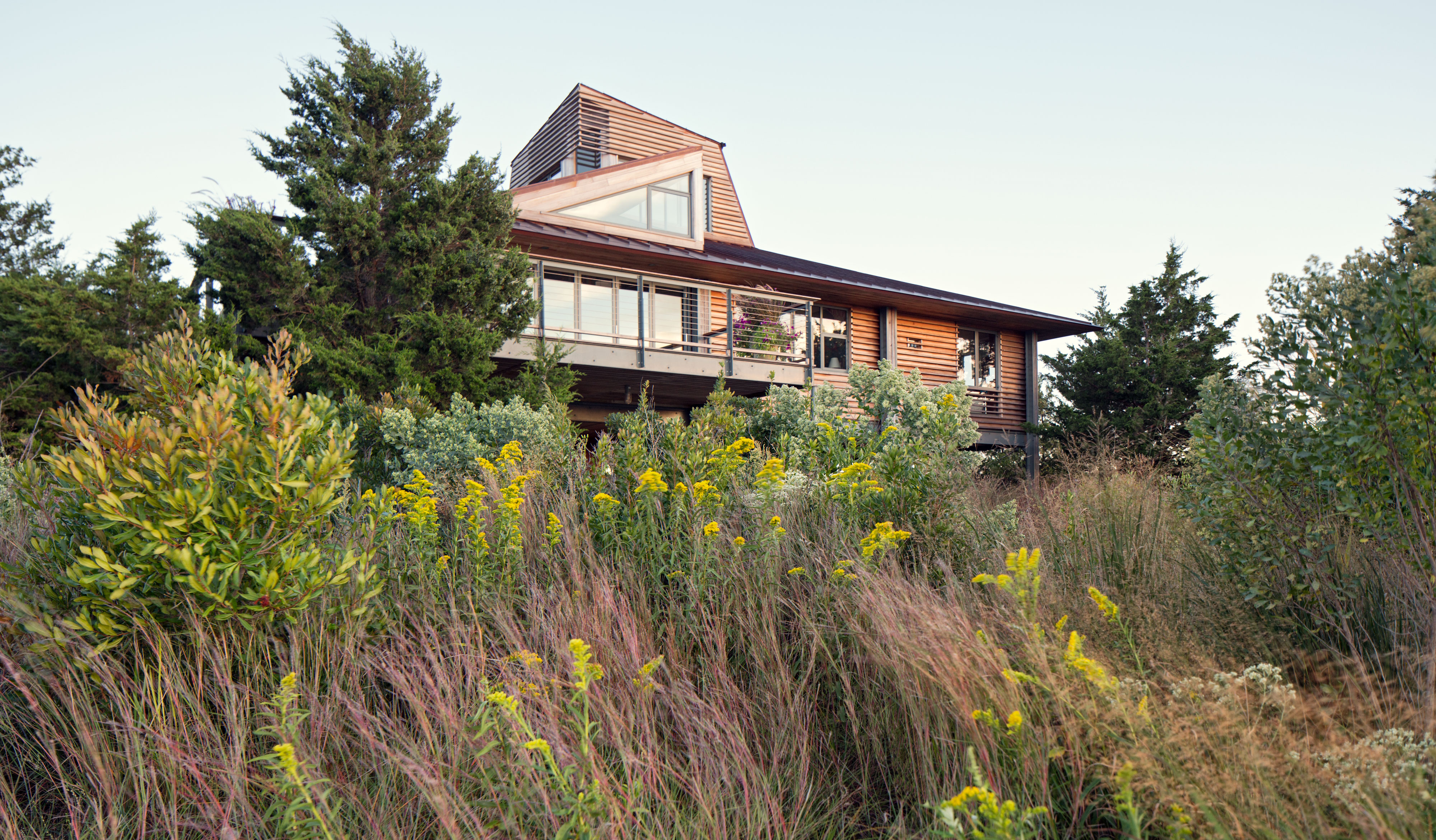 Idea 2163515 Cove CoHabitat by SCAPE Landscape Architecture D.P.C. in