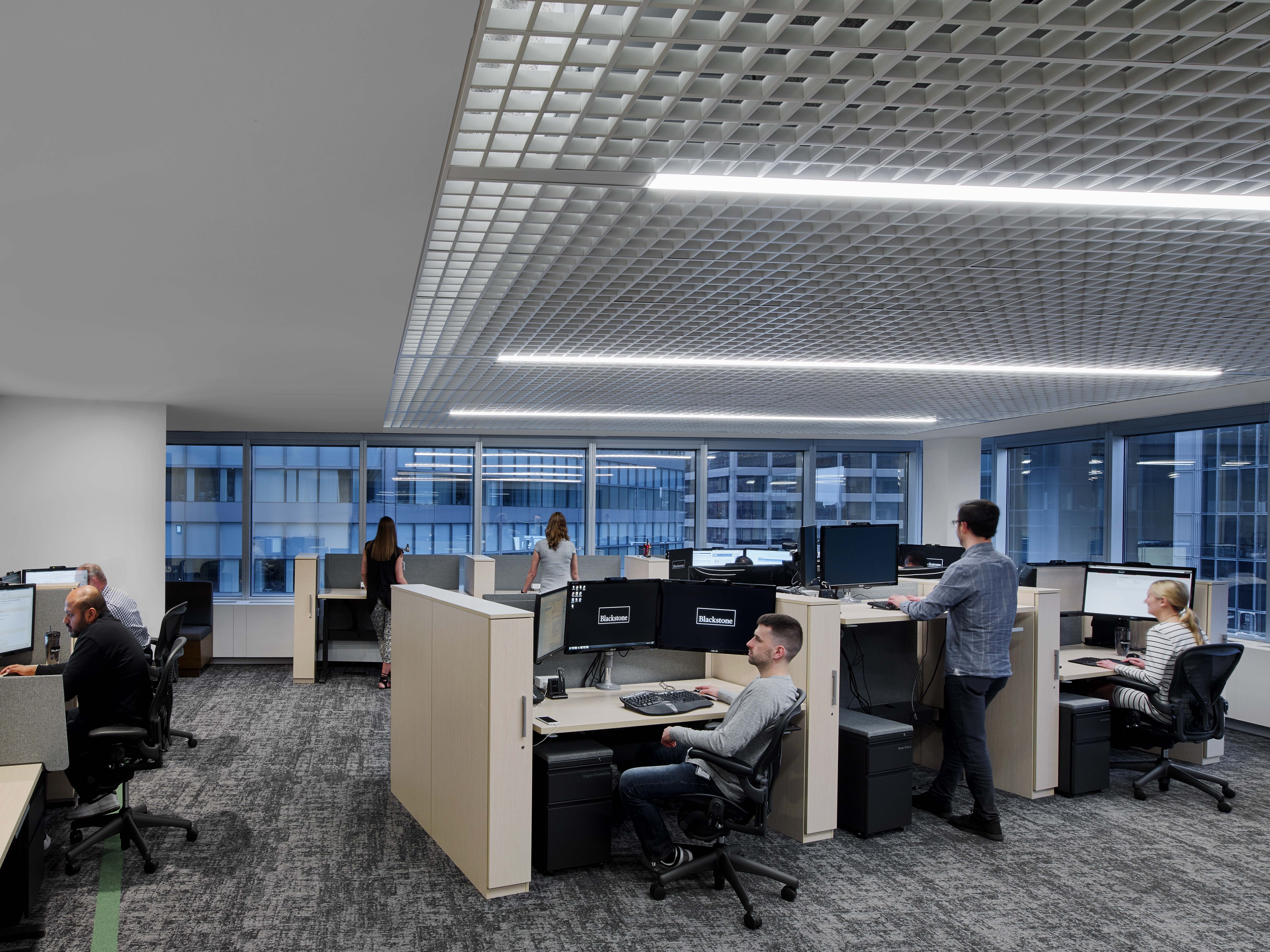 Idea 2201715 Blackstone Innovation & Infrastructure (BXii) by M Moser Associates in New York