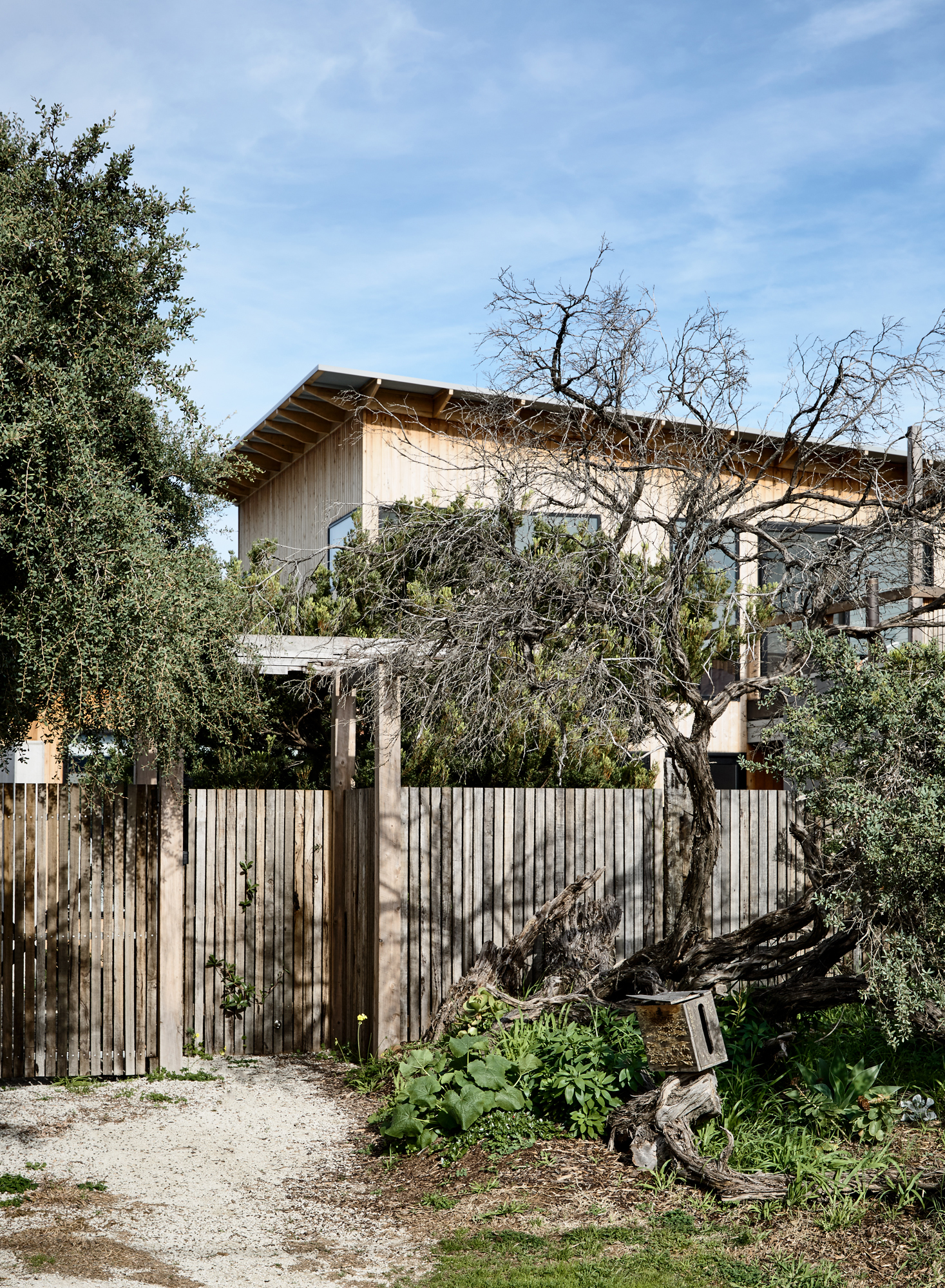 McCallum_House by Minh Architects Architizer