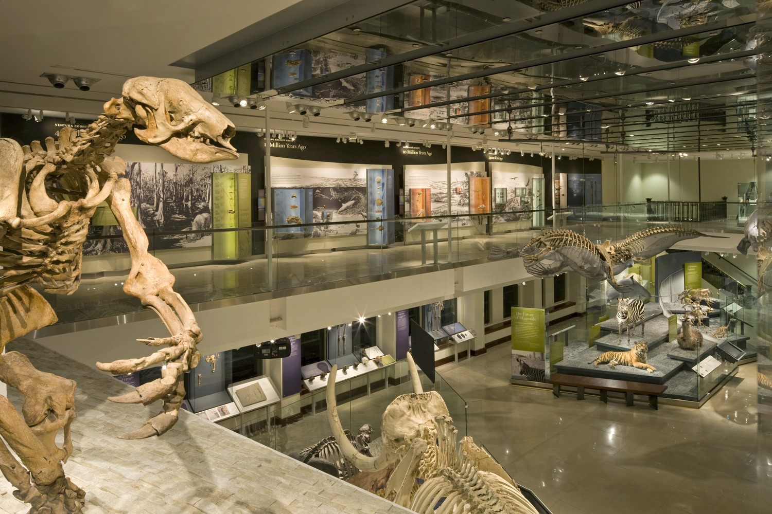 Los Angeles Natural History Museum By CO Architects - Architizer