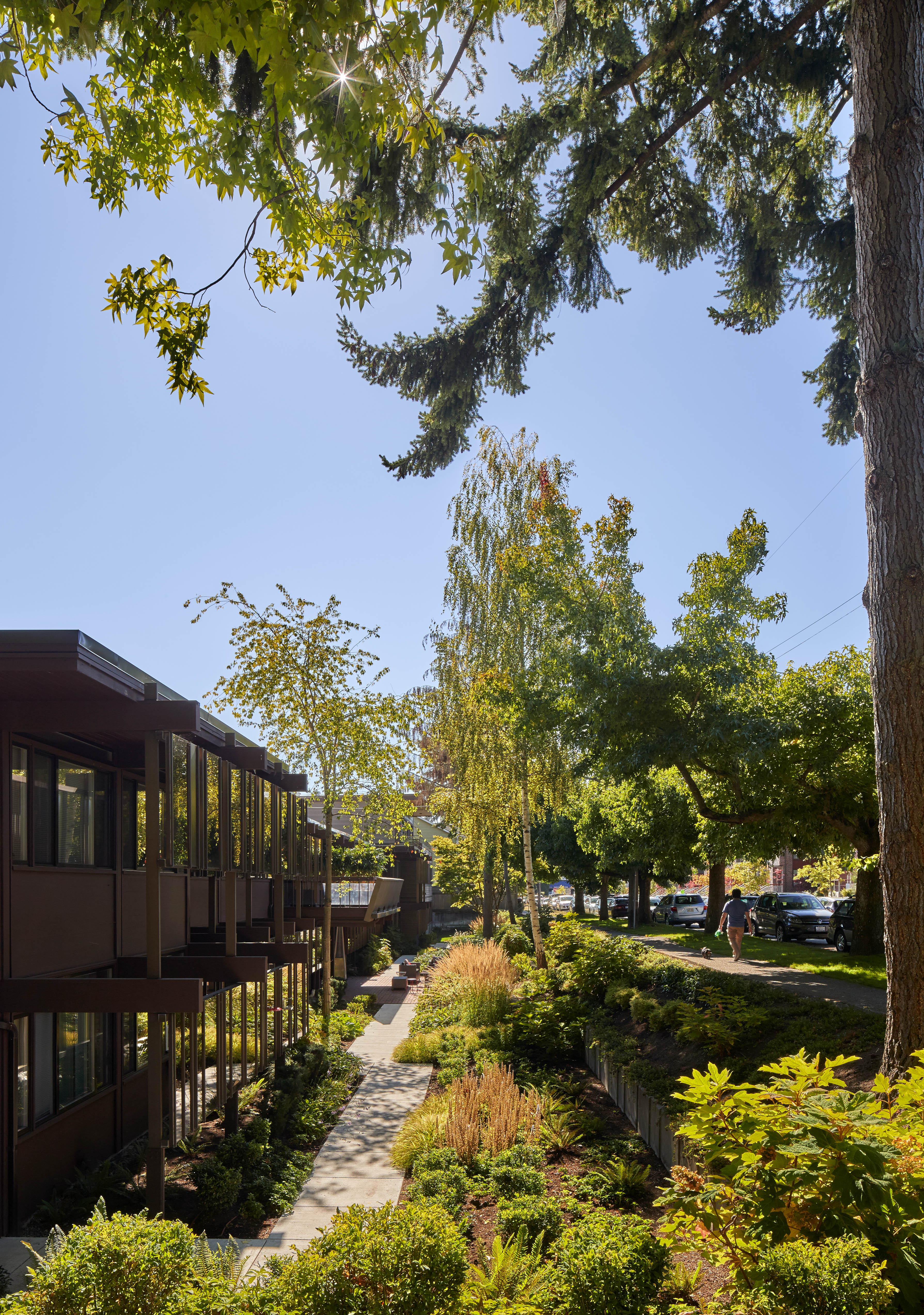 MOD Apartments by CLARK BARNES Architizer