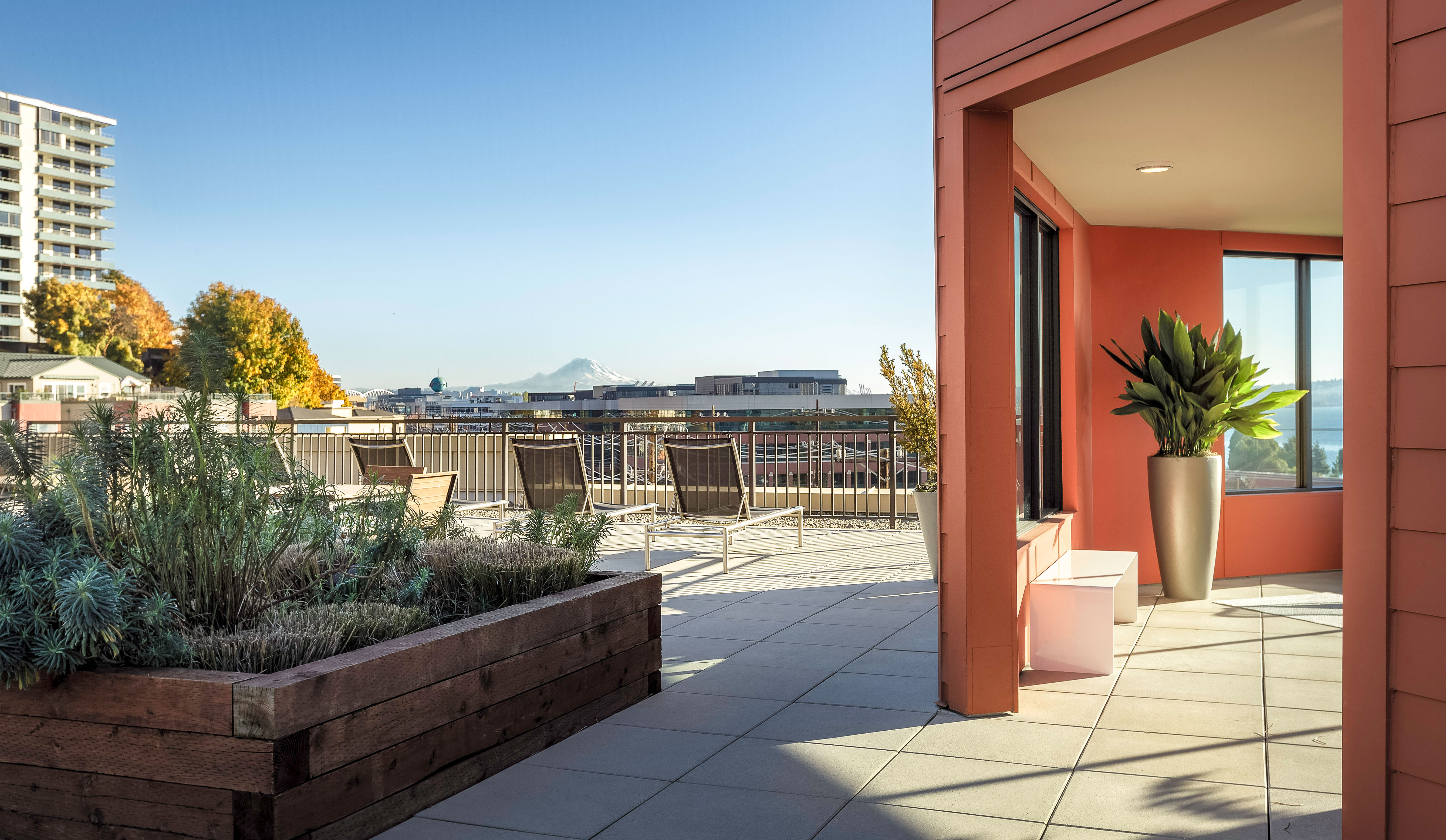 Canvas Apartments by CLARK BARNES Architizer