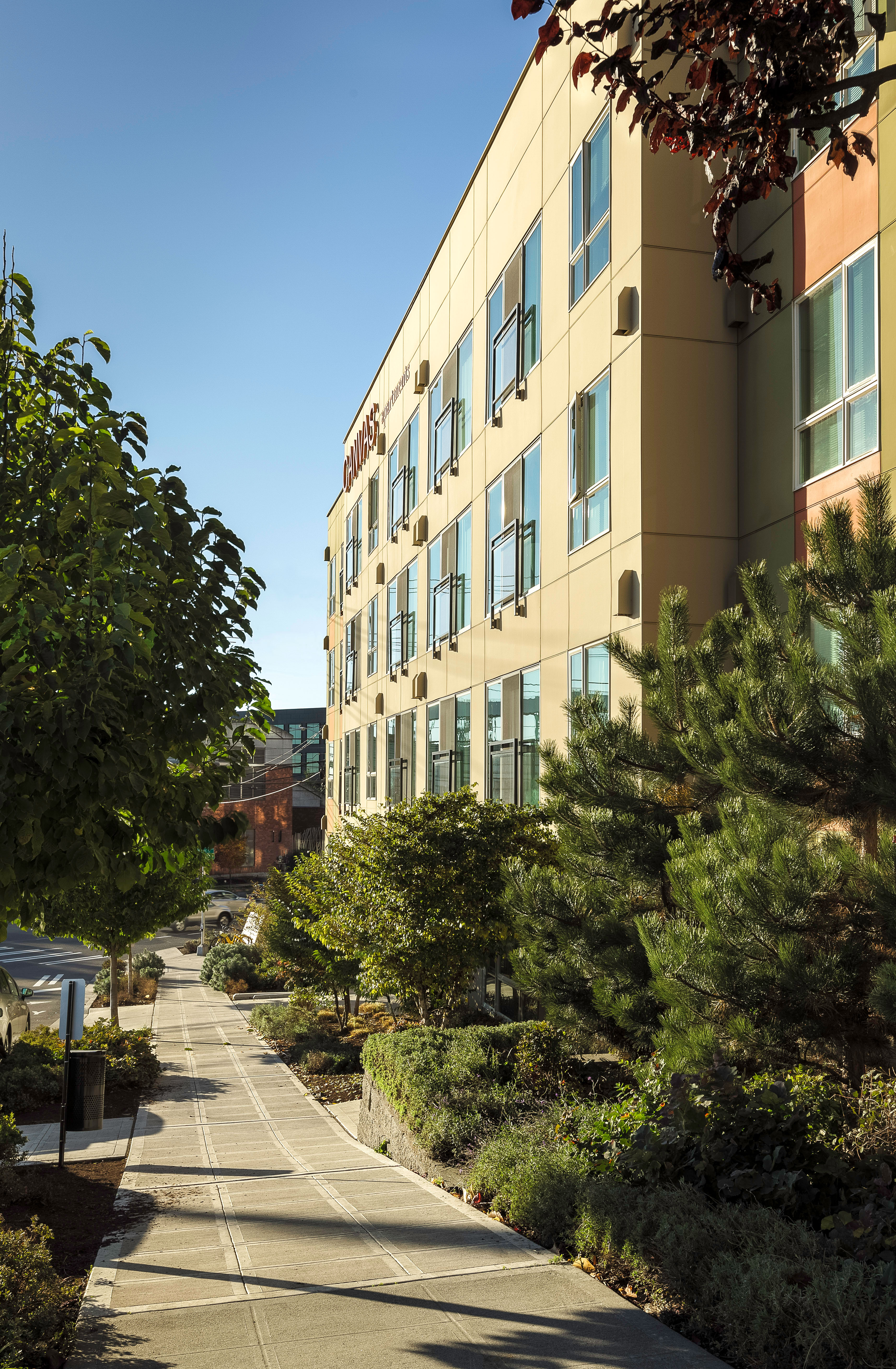 Canvas Apartments by CLARK BARNES Architizer